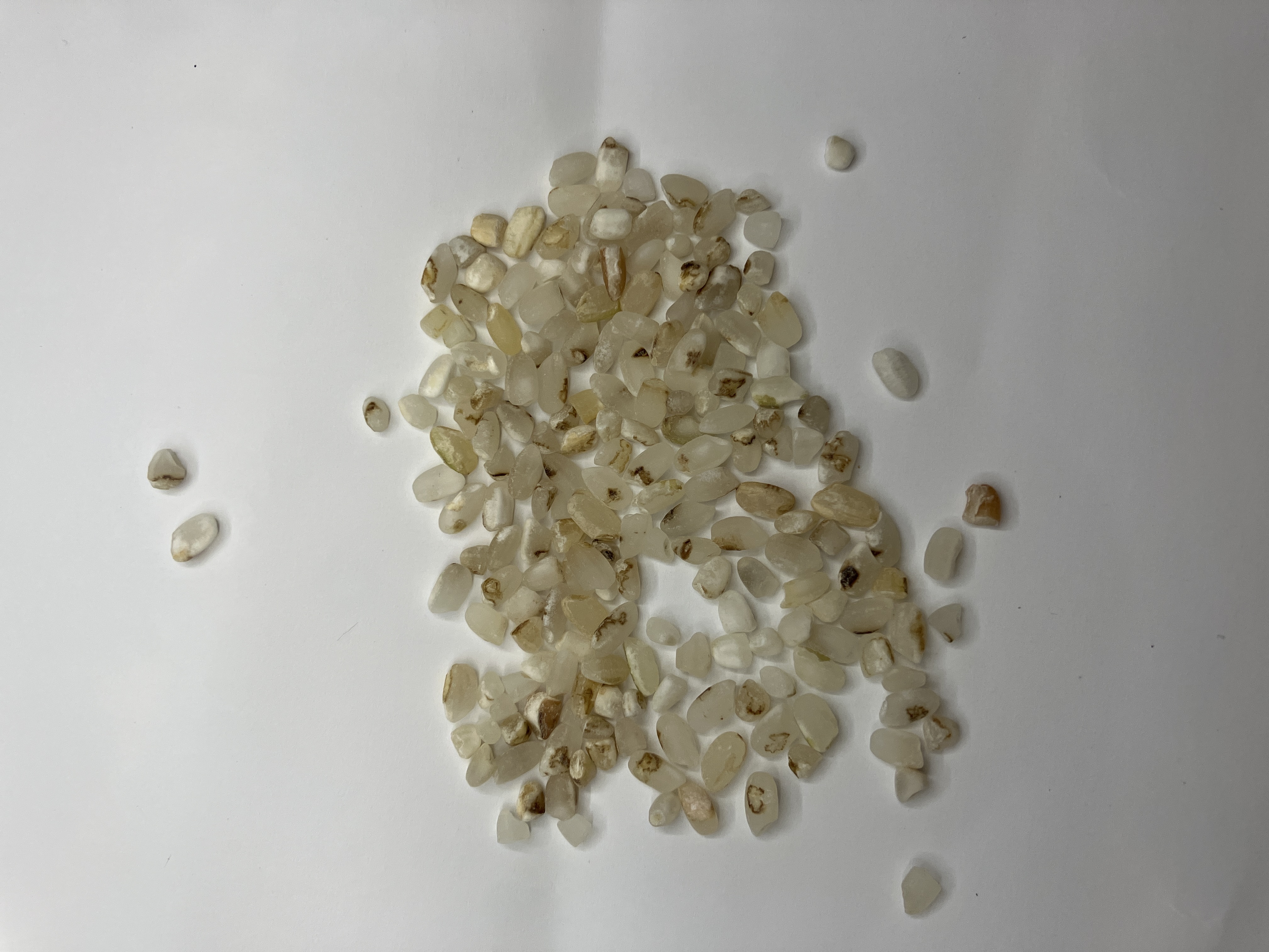 新米予約】令和6年度産 徳島県産 玄米 コシヒカリ ｜ 米・穀物/玄米