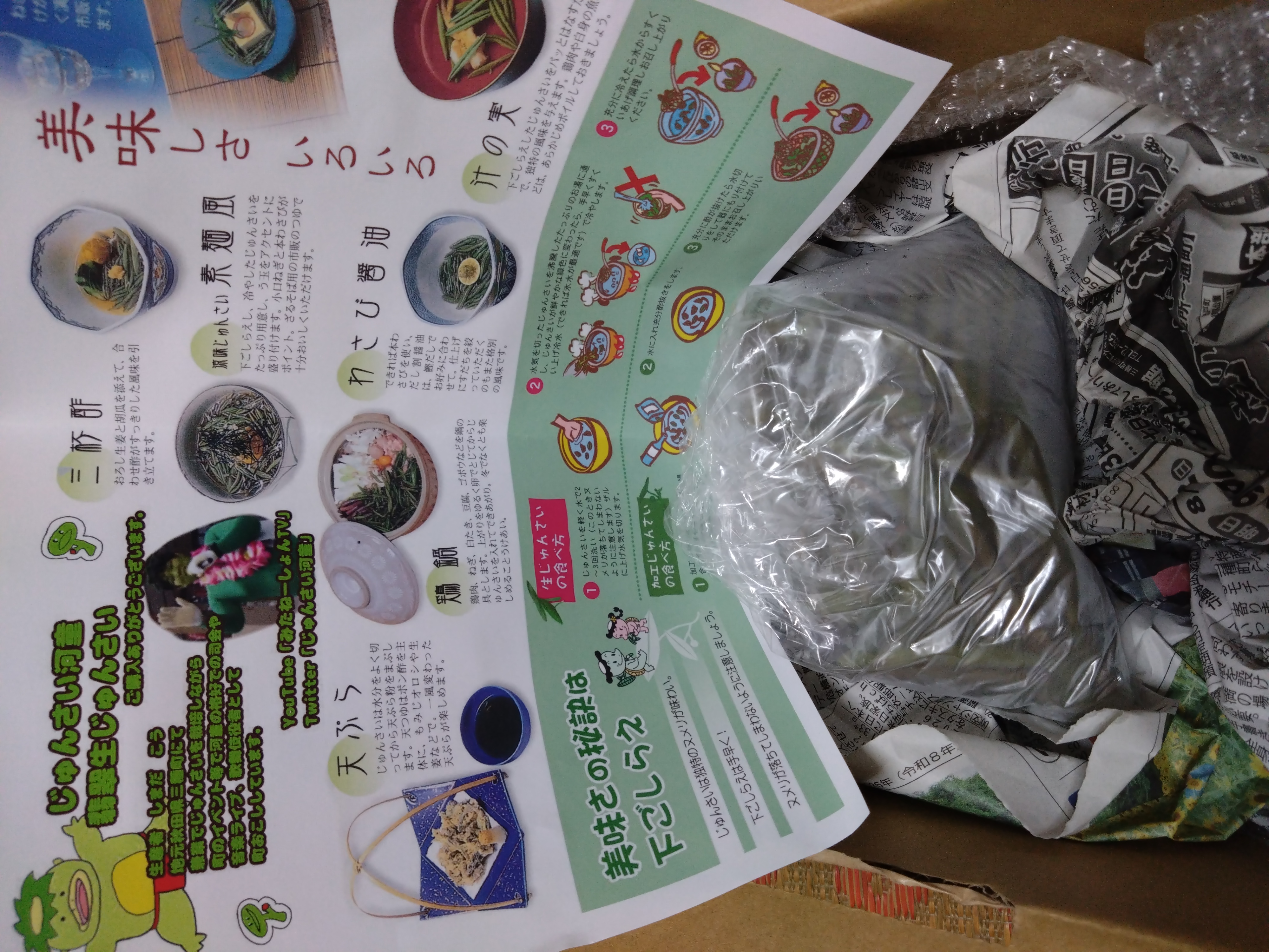 農地直送 秋田県三種町 翡翠生じゅんさい 3キロ ｜ 野菜/その他野菜