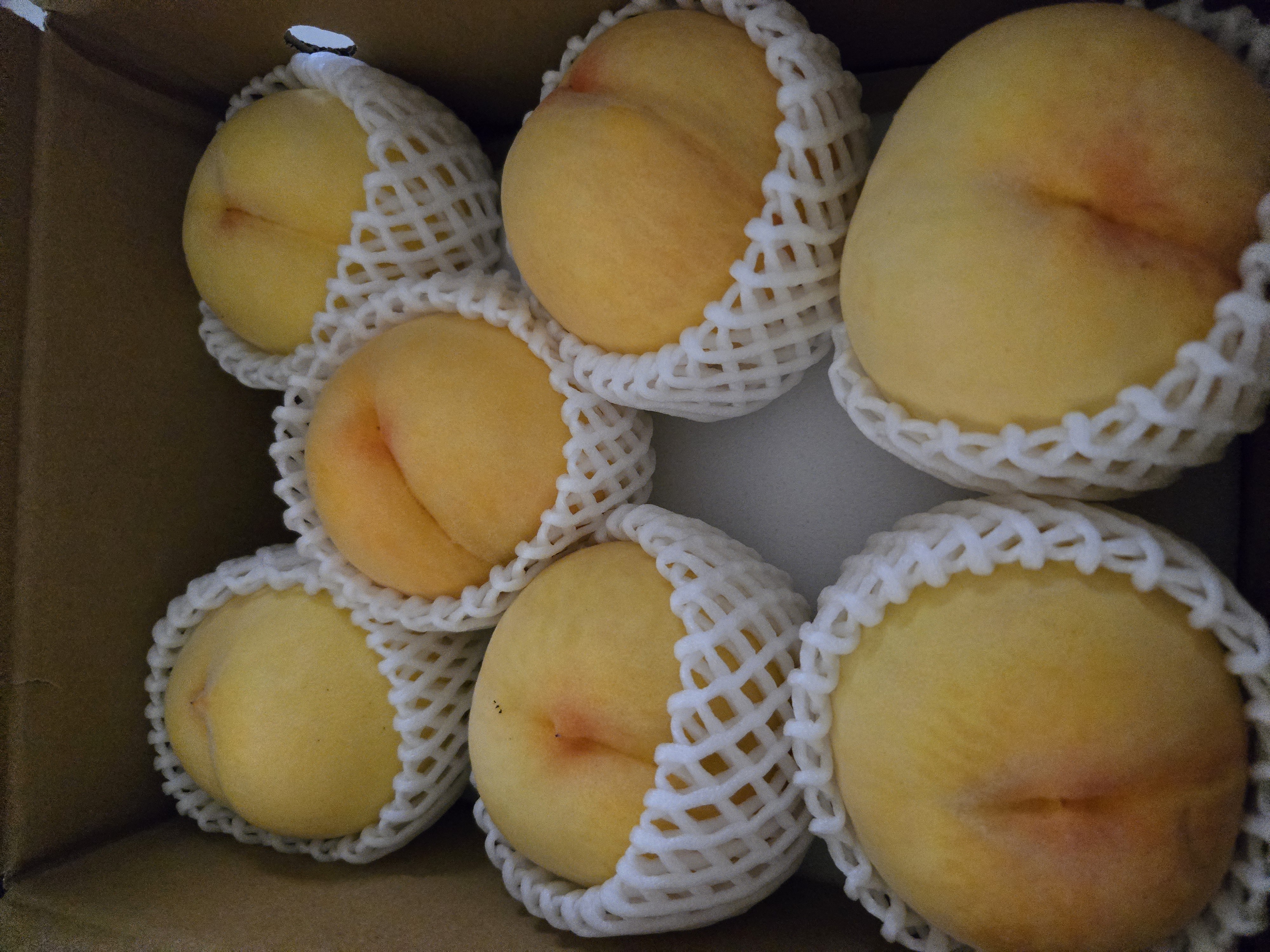山梨の完熟桃 5kg ｜ 果物/もも 産直アウル 農家・漁師など生産者から