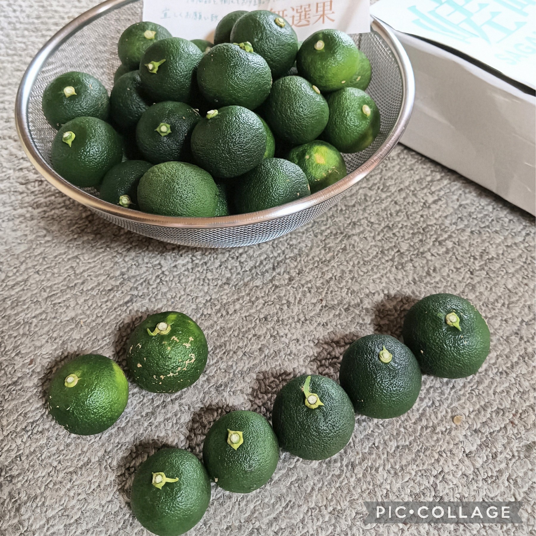 新鮮 すだち 約20kg 嵯峨峡すだち～彩～ 20kg ｜ 果物/香酸柑橘(ライム・レモン等) 産直