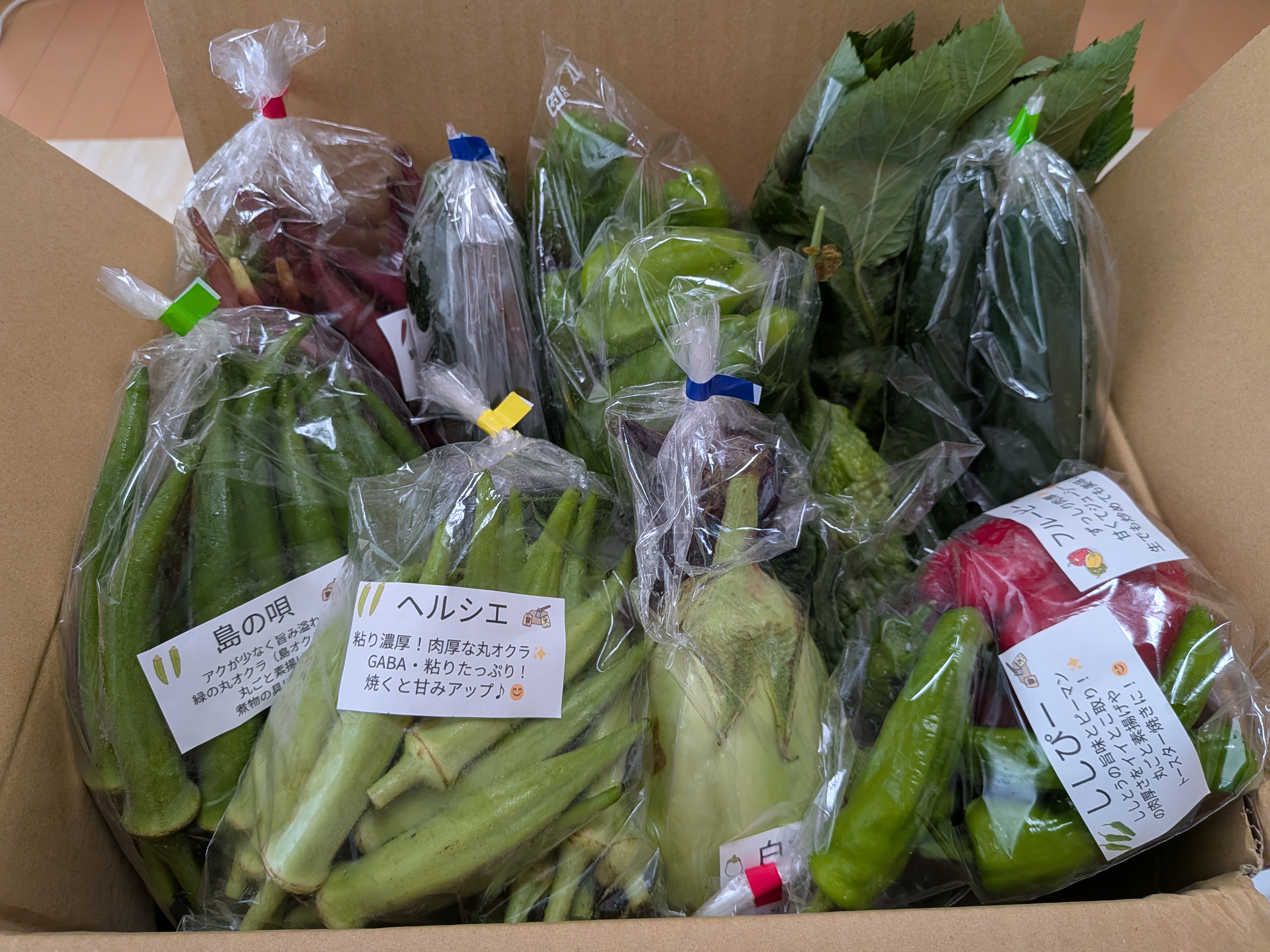 朝採れ葉付きニンジン約500g｜葉も根も食べられる旬のごちそう｜農薬