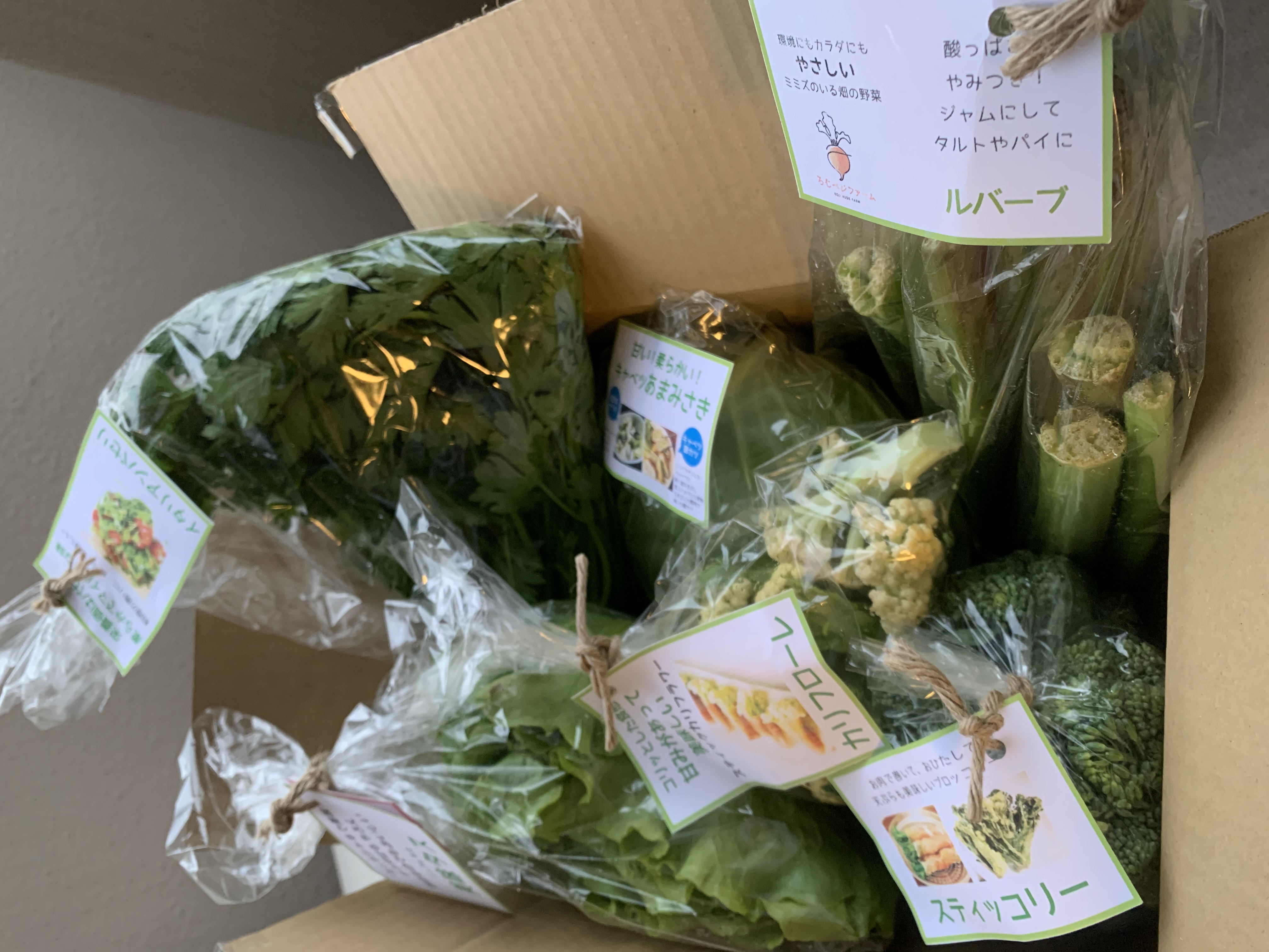 ルバーブ ｜ 野菜/その他野菜 産直アウル 農家・漁師など生産者から 
