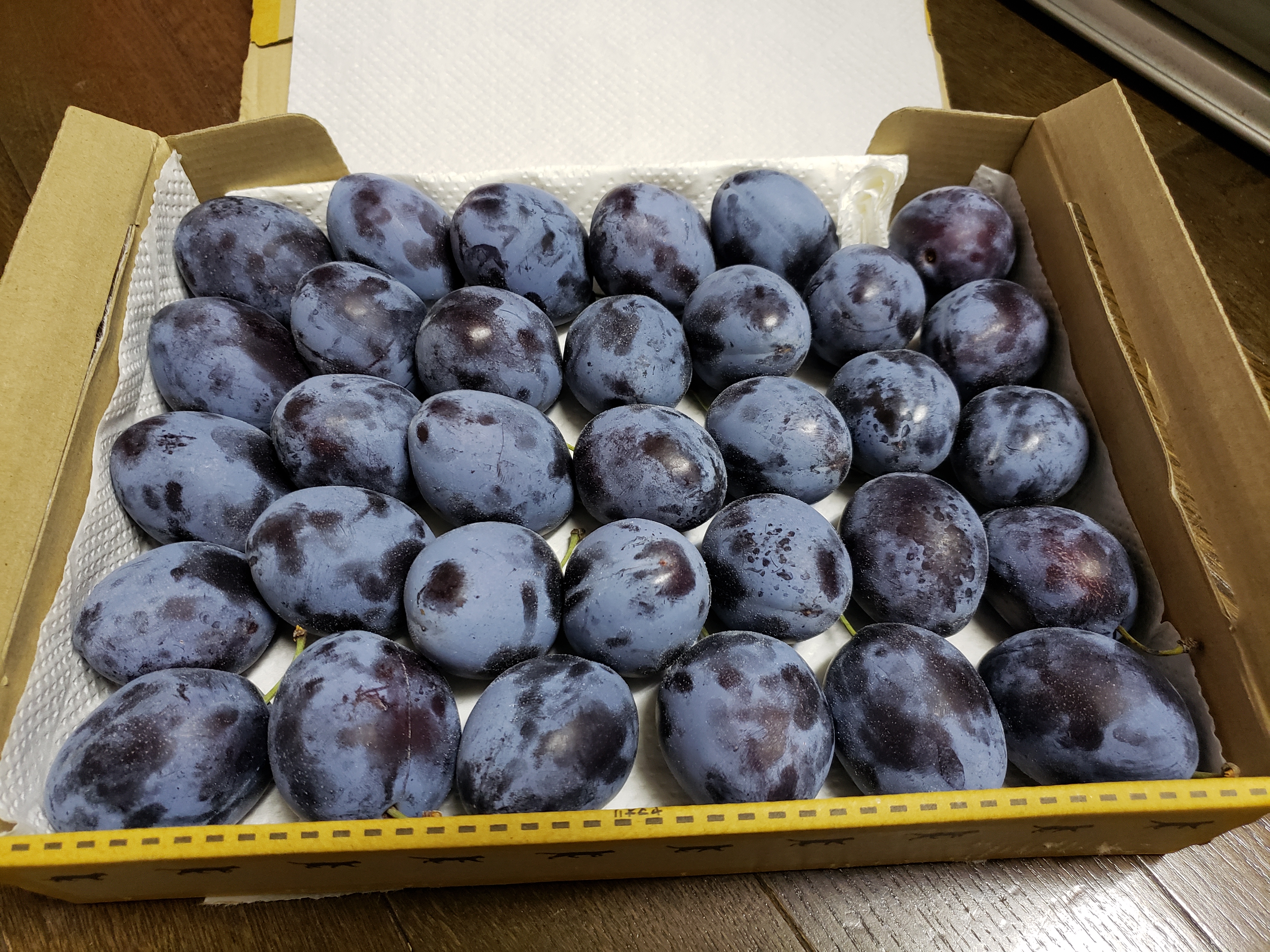 長野県産、生プルーン(くらしま早生) 1kg(家庭用) ｜ 果物/すもも