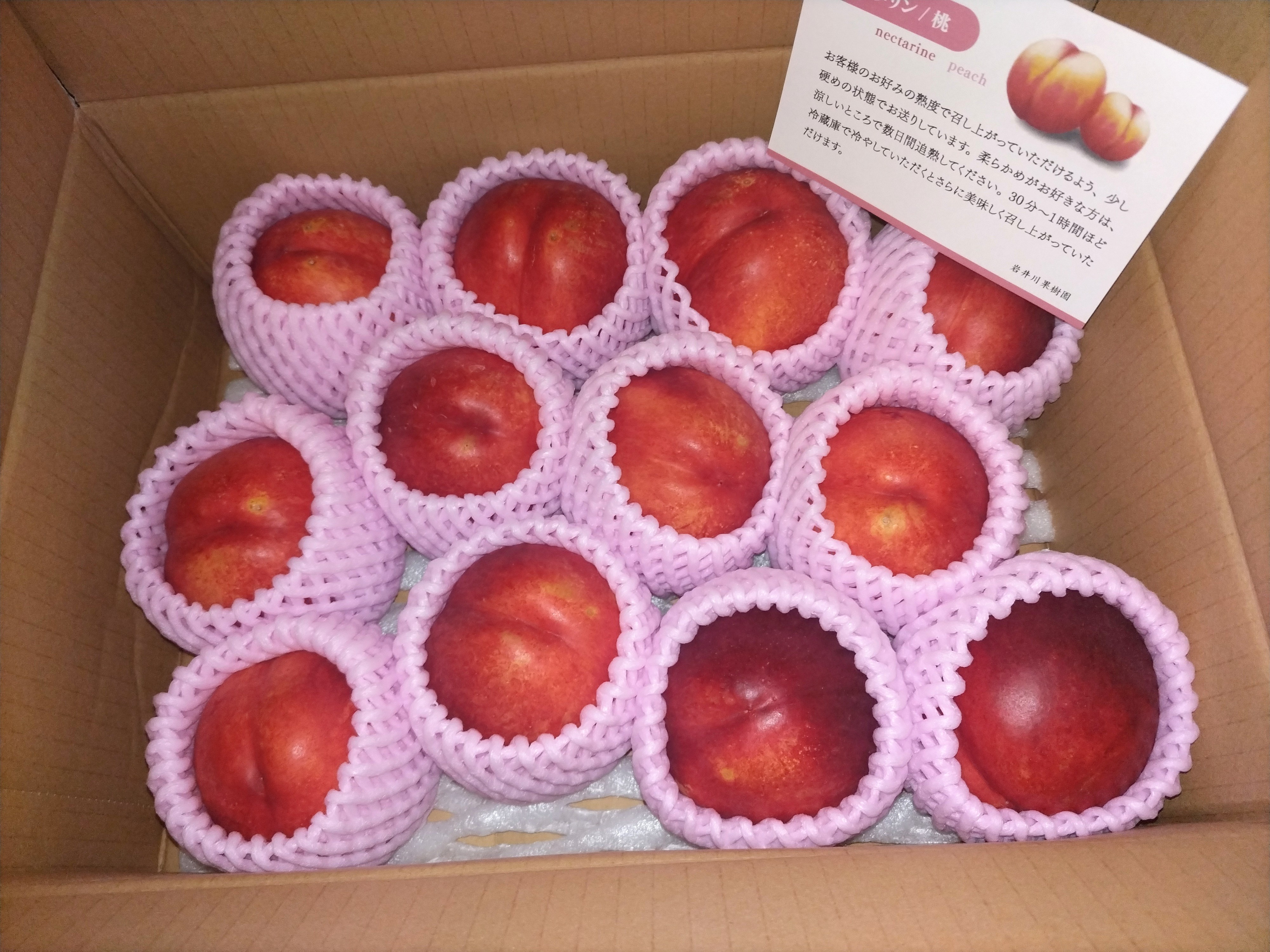 秋のネクタリン「秀峰」 ｜ 果物/もも 産直アウル 農家・漁師など生産