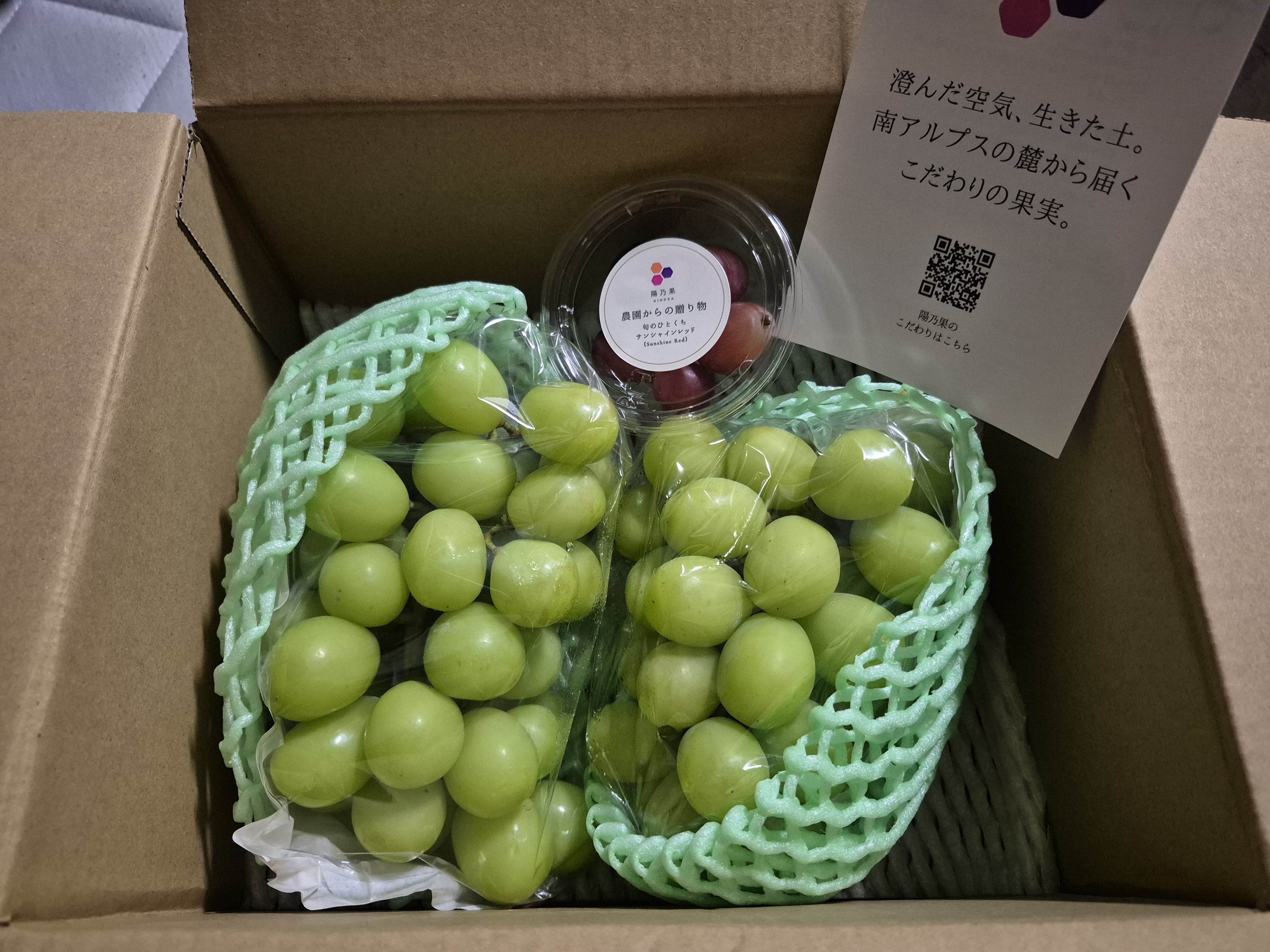 贈答用】パリッと爽快シャインマスカット華1.2kg ｜ 果物/ぶどう 産直