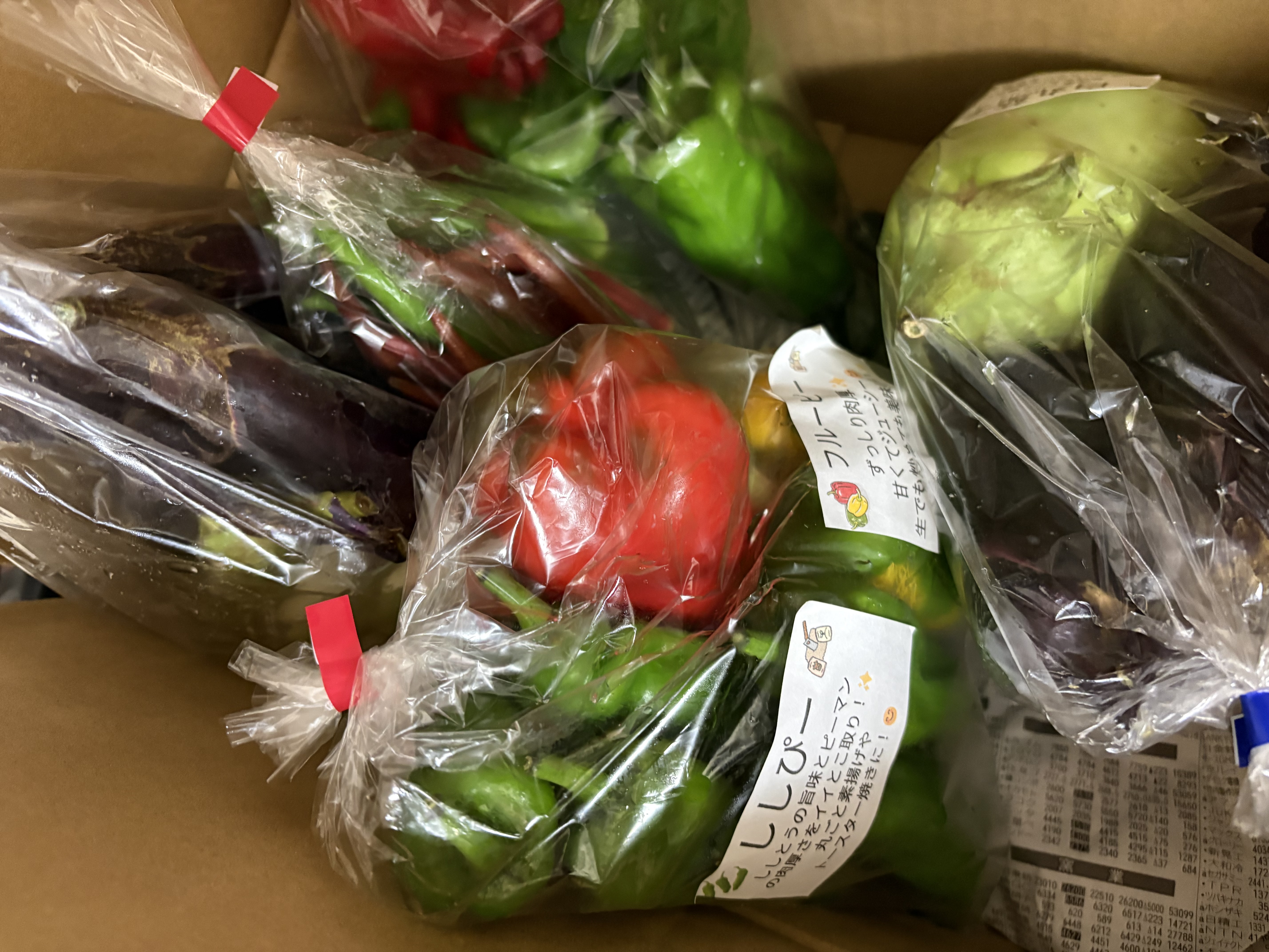 朝採れ葉付きニンジン約500g｜葉も根も食べられる旬のごちそう｜農薬