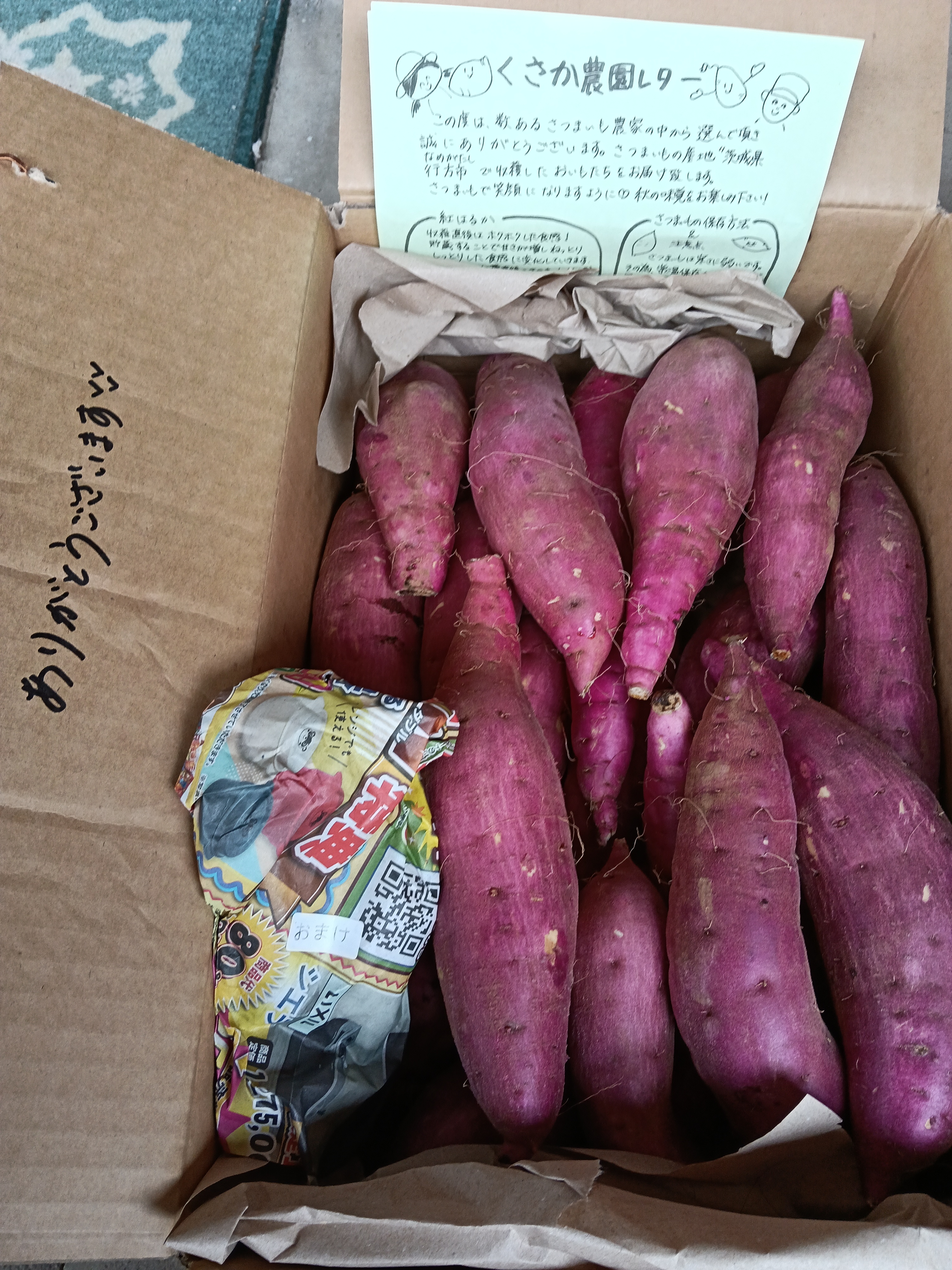 茨城県行方市特産 さつまいも(べにはるか) 『A品』Mサイズ ｜ 野菜