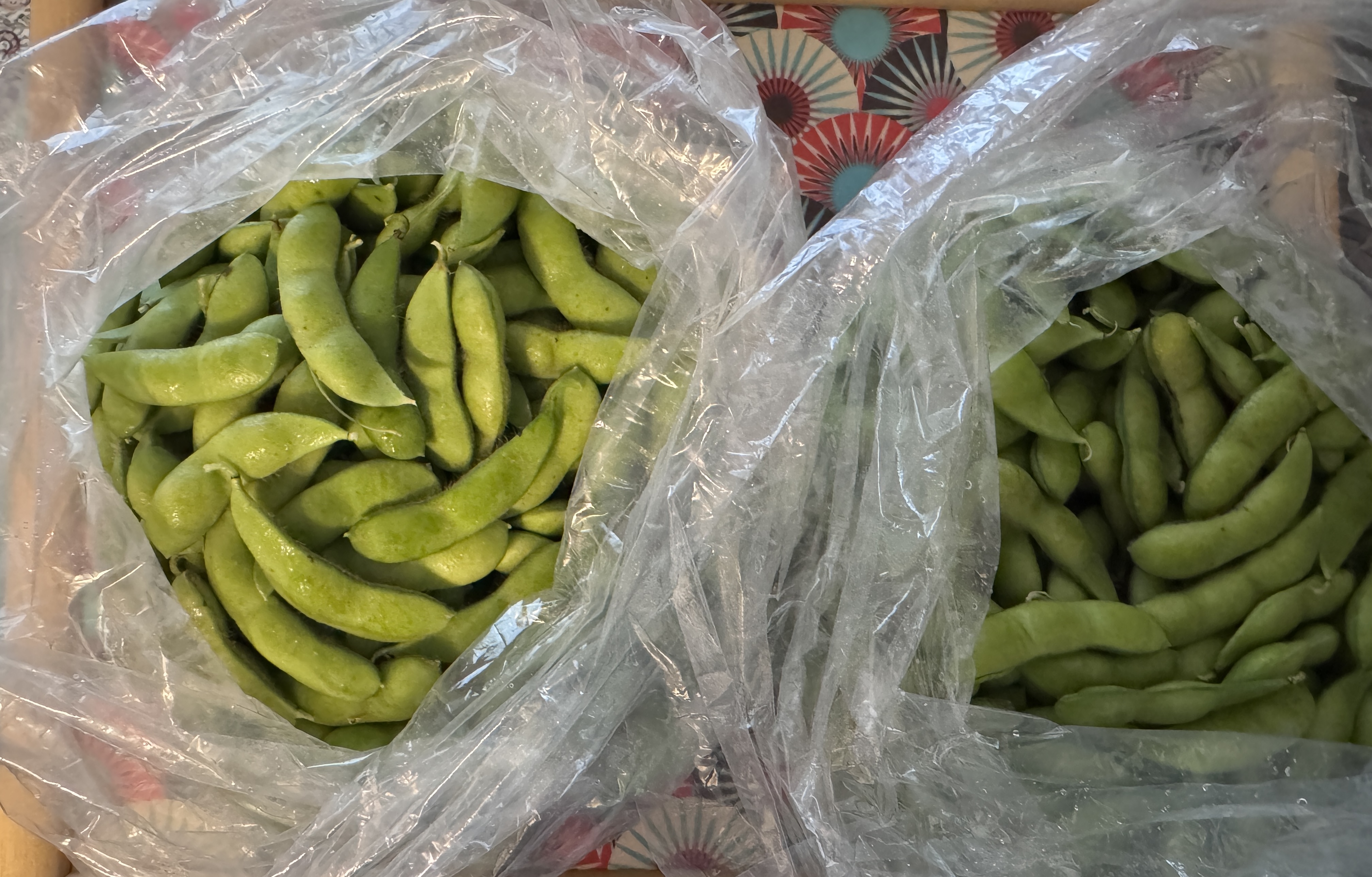 あま茶豆2kg くろさき茶豆登録品種 ｜ 野菜/枝豆 産直アウル 農家