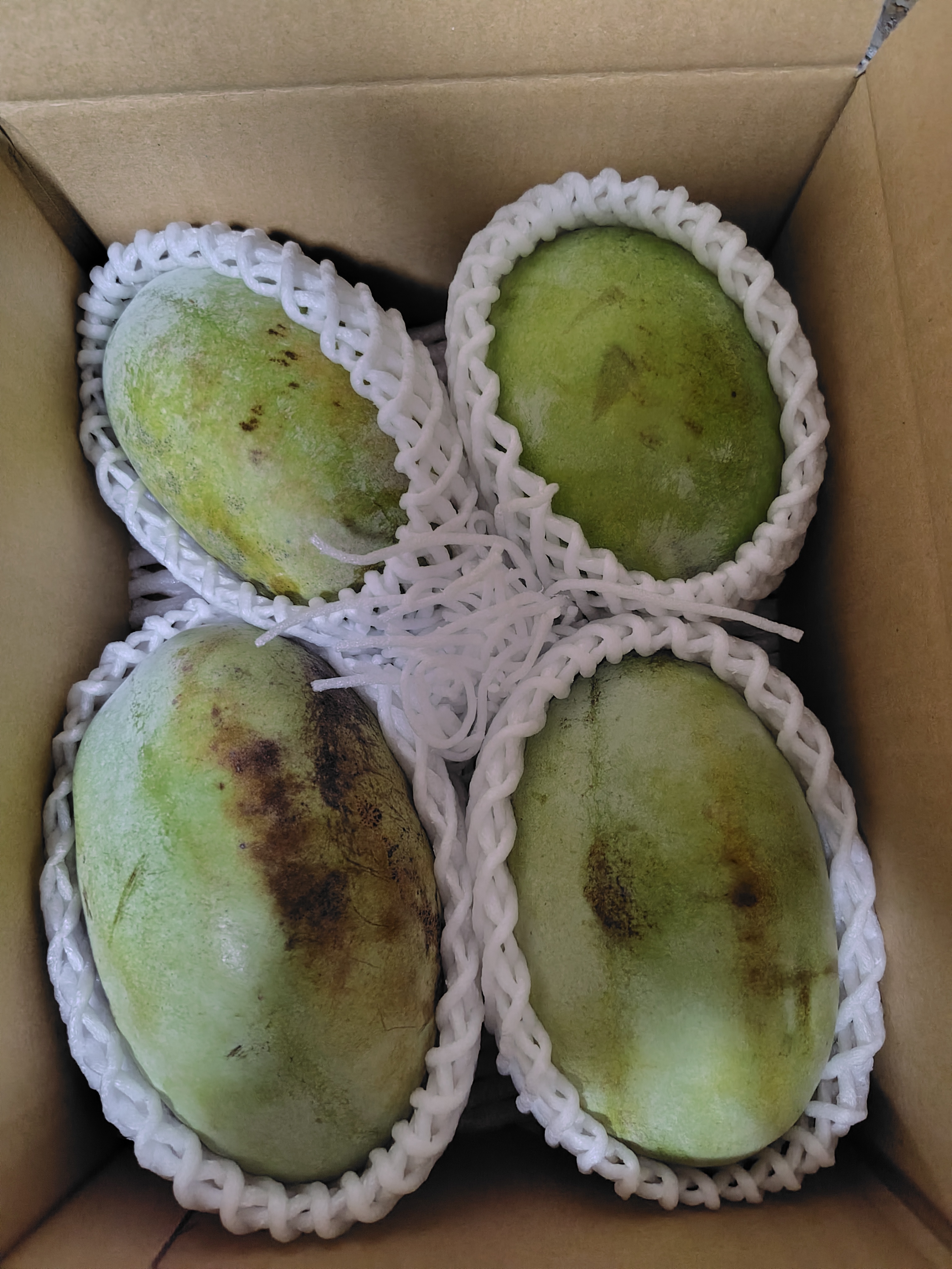 信州中野産桃[赤宝]2kg ｜ 果物/もも 産直アウル 農家・漁師など生産者