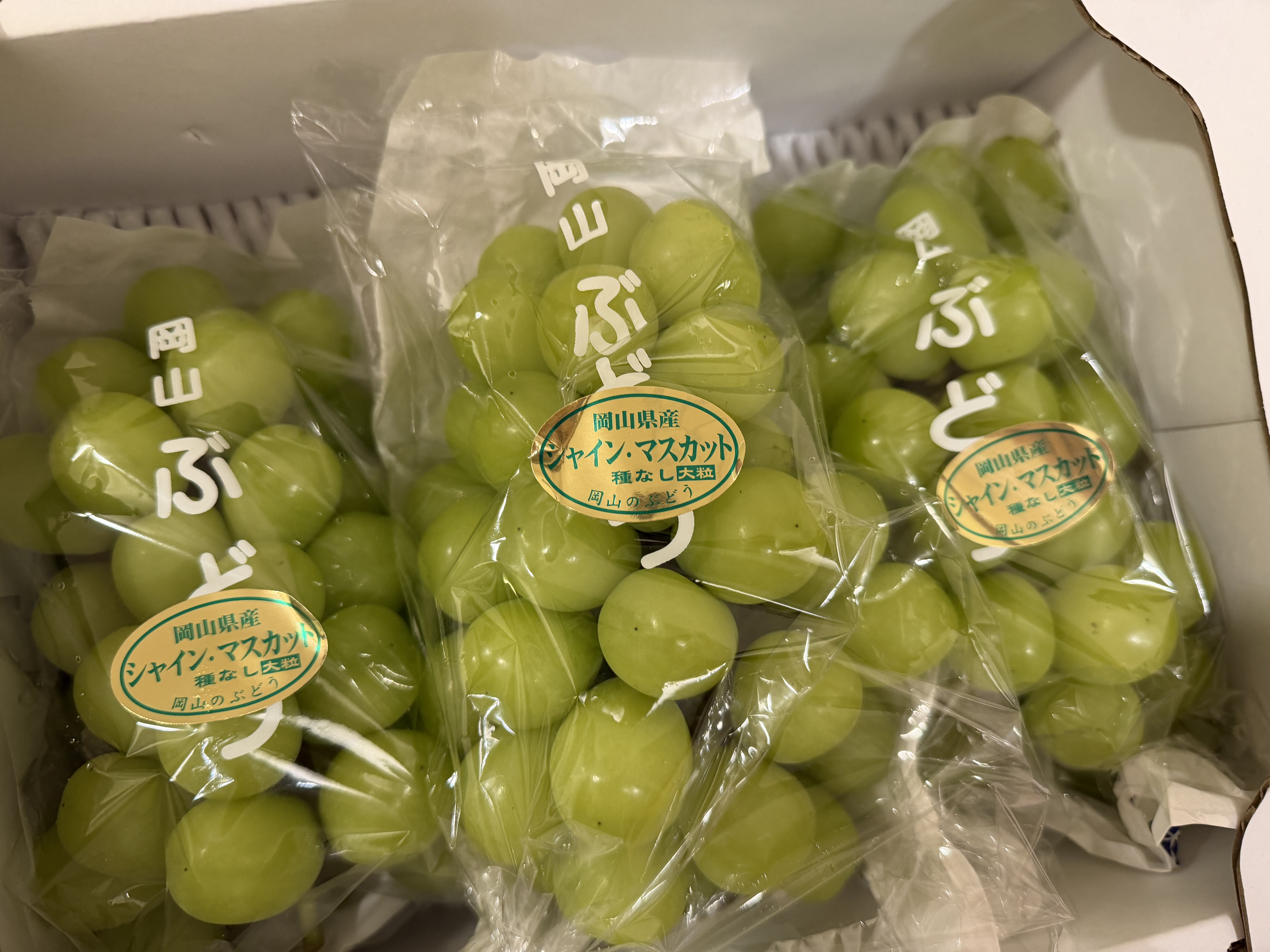 大玉2kg・3房】岡山県産シャインマスカット 家庭用 朝採り翌日発送