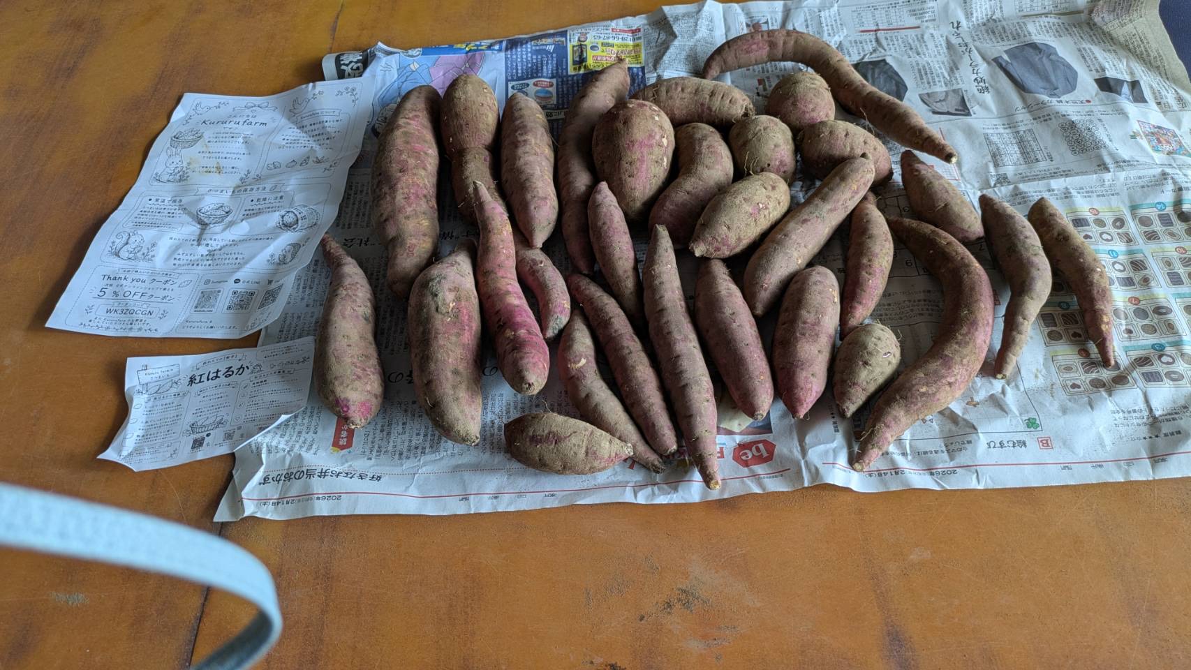 鮮度抜群 とれたて筍（たけのこ） 収穫後即日発送！×2kg ｜ 野菜