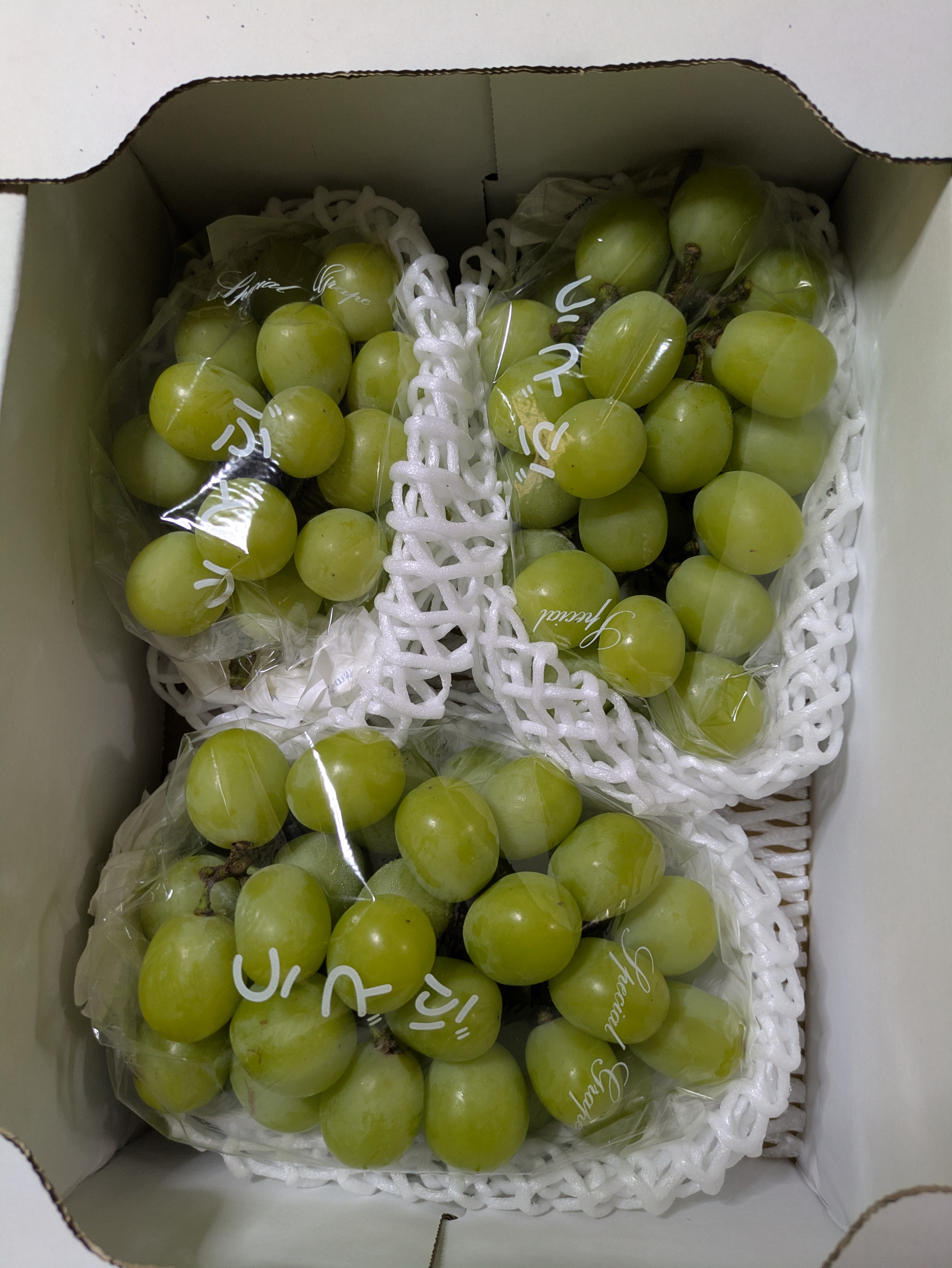 みんなでシェアしよう！岡山産つぶつぶシャイン12パック1.6キロ