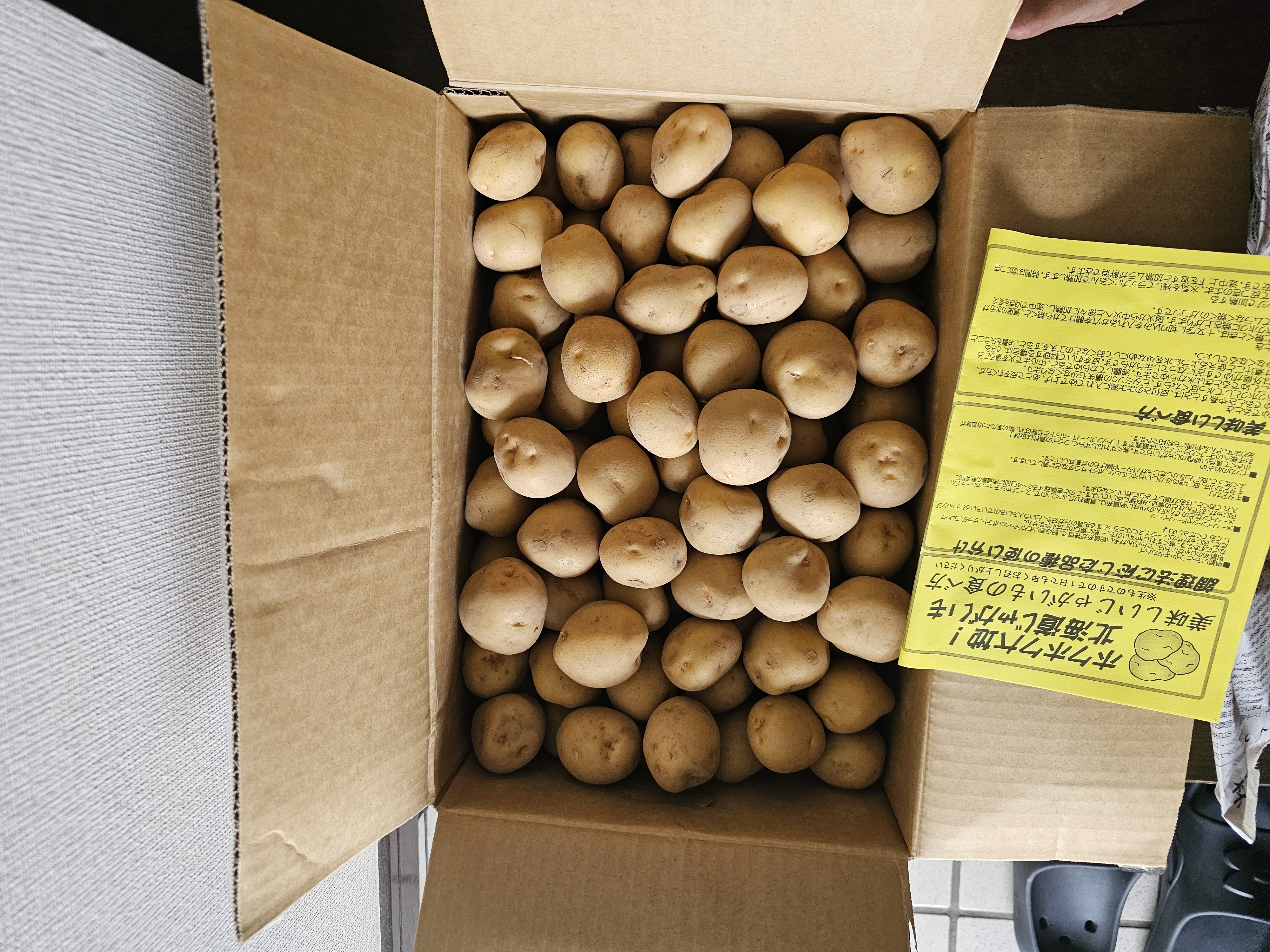 夕張メロン 4～5玉入れ1箱8kg 良品以上 北海道産 ｜ 果物/メロン