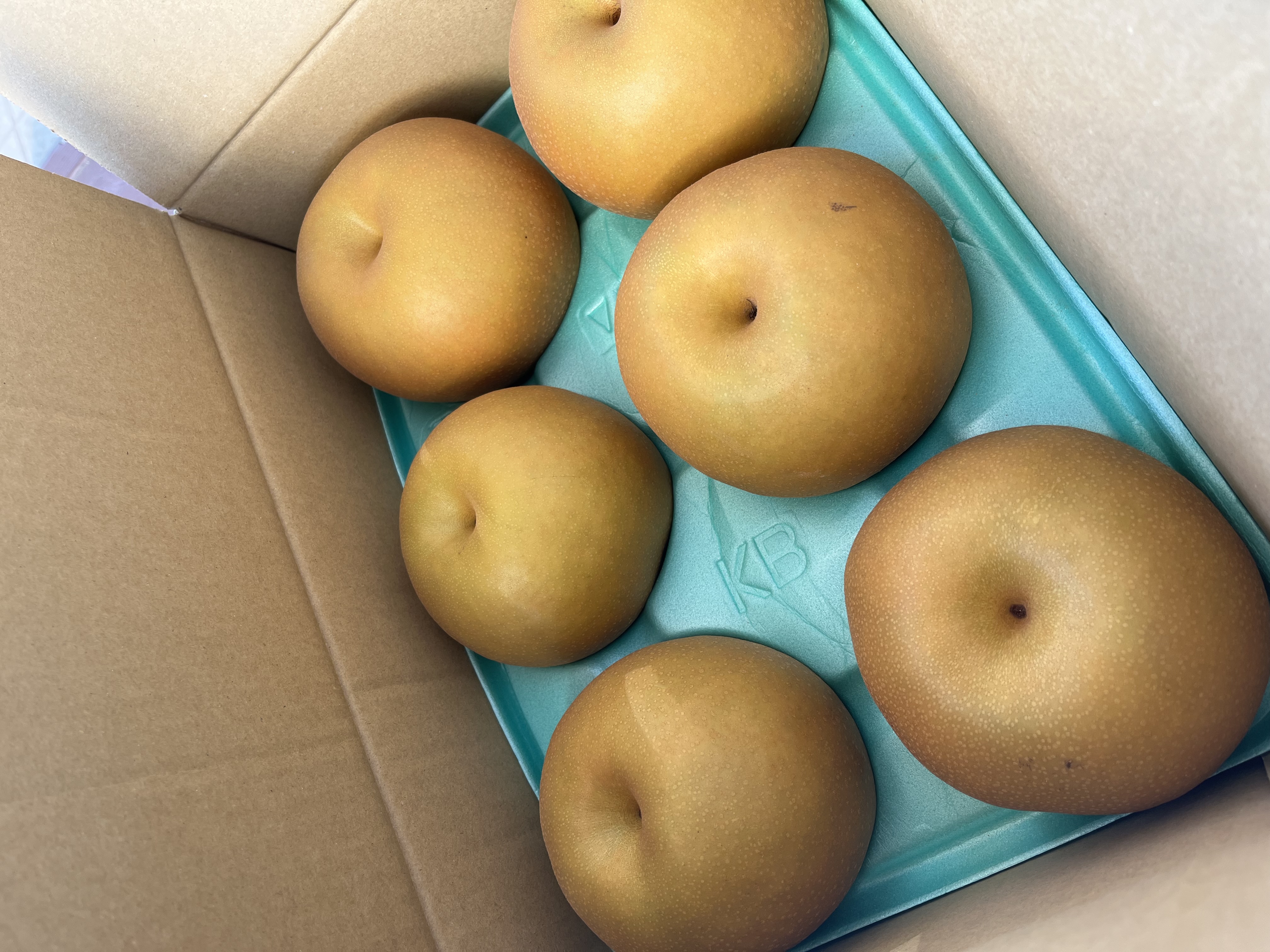 梨 幸水10kg ｜ 果物/梨 産直アウル 農家・漁師など生産者から直接野菜