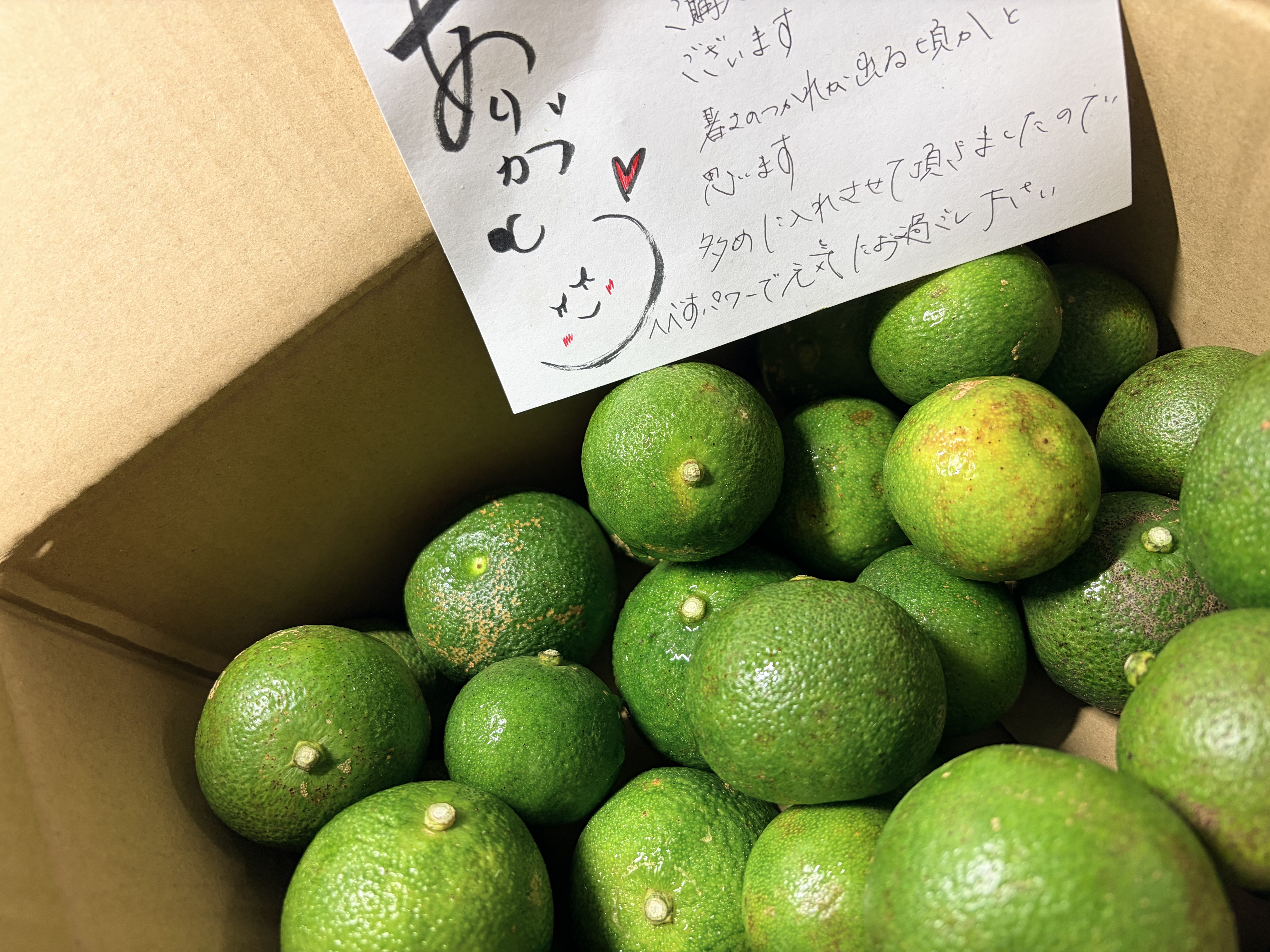 ハウス栽培へべす(訳あり) 約1.8キロ ｜ 果物/香酸柑橘(ライム・レモン