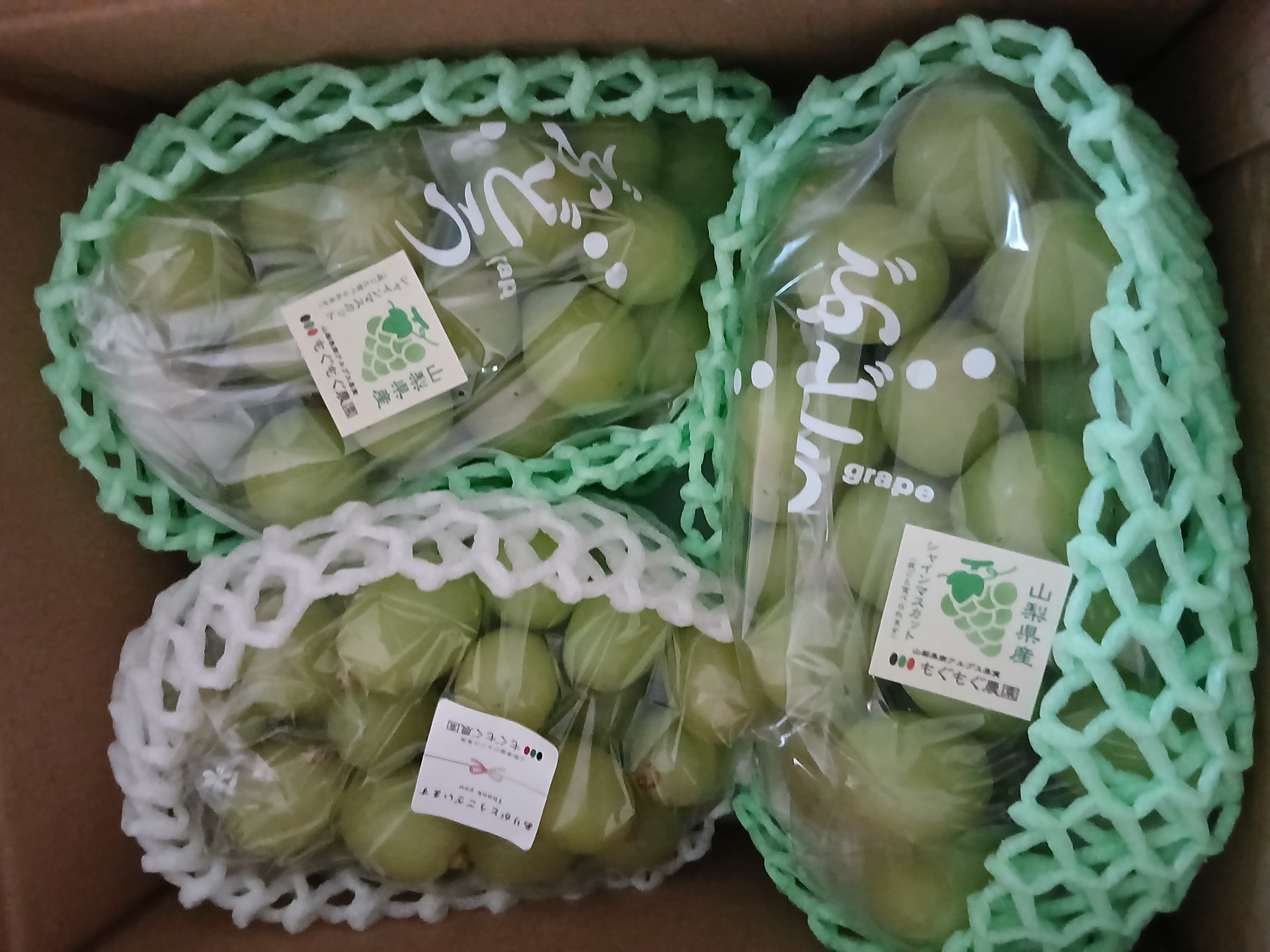 山梨県産】巨峰(種無し)2kg（5〜7房）山梨県南アルプス市産【常温便