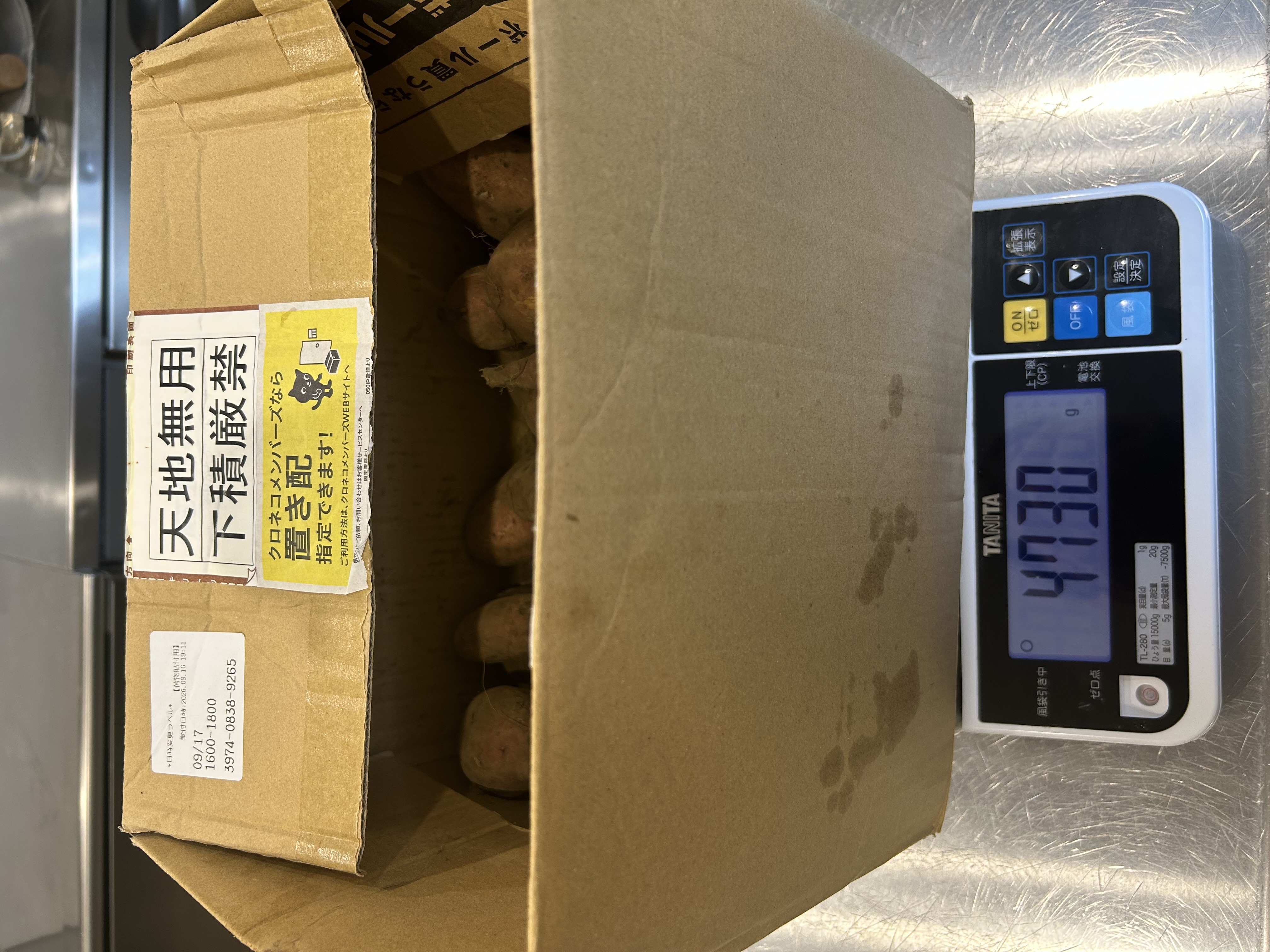 鮮度抜群 とれたて筍（たけのこ） 収穫後即日発送！×2kg ｜ 野菜