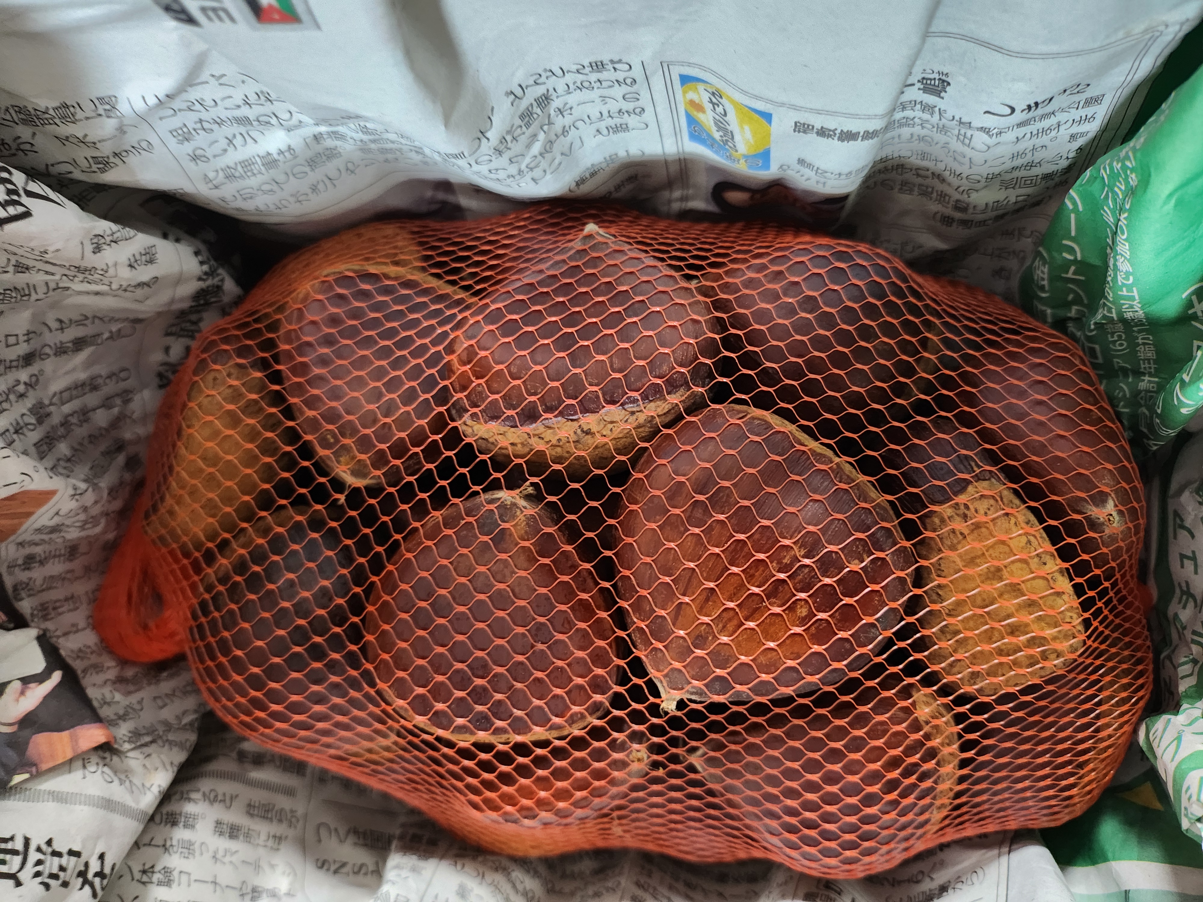茨城のうまい栗（ぽろたん） 2Lサイズ（約1kg） ｜ 果物/栗 産直アウル