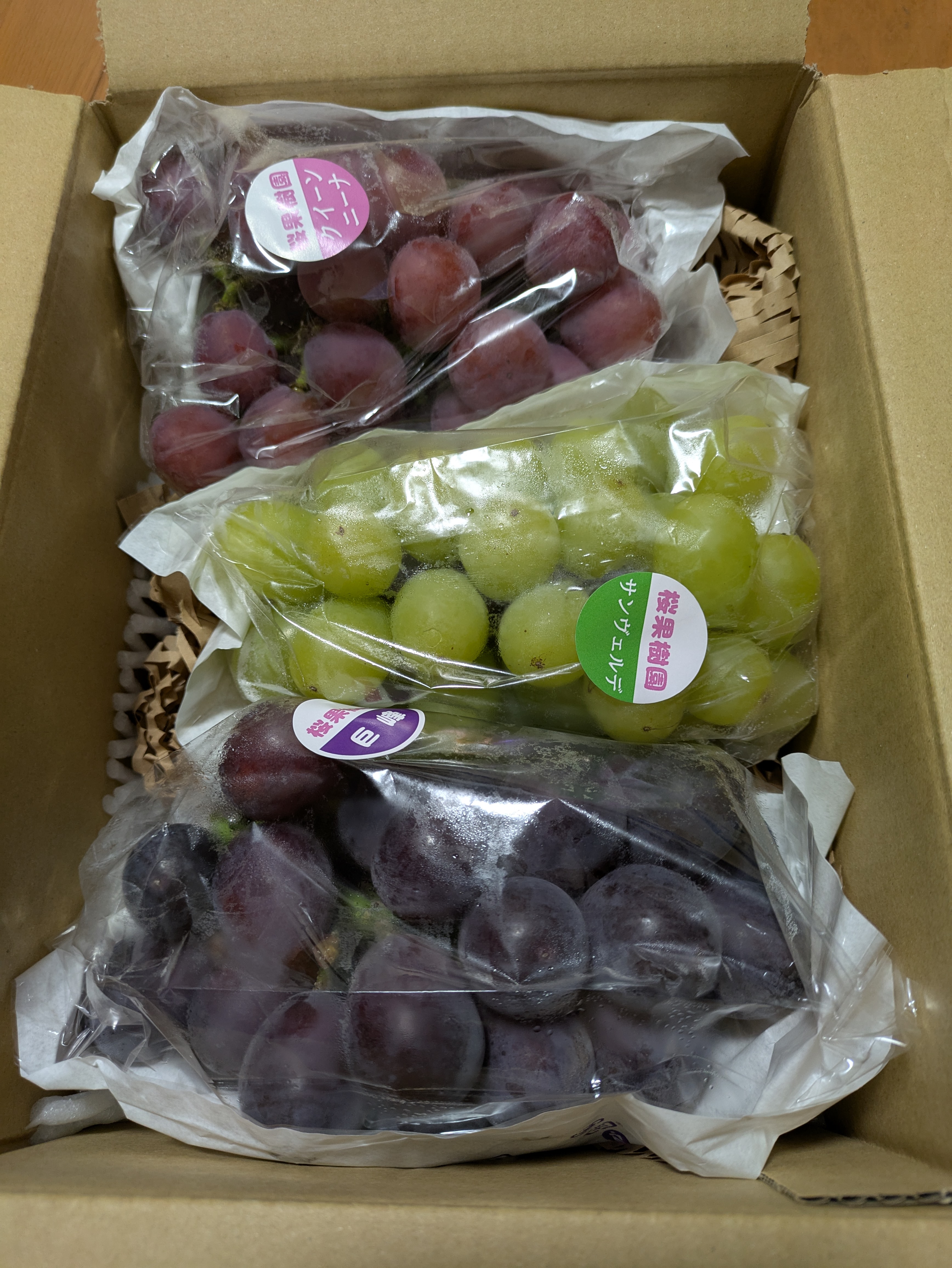 栃木県 那須塩原市産 種なし巨峰 1kg(500g 2房) ｜ 果物/ぶどう 産直