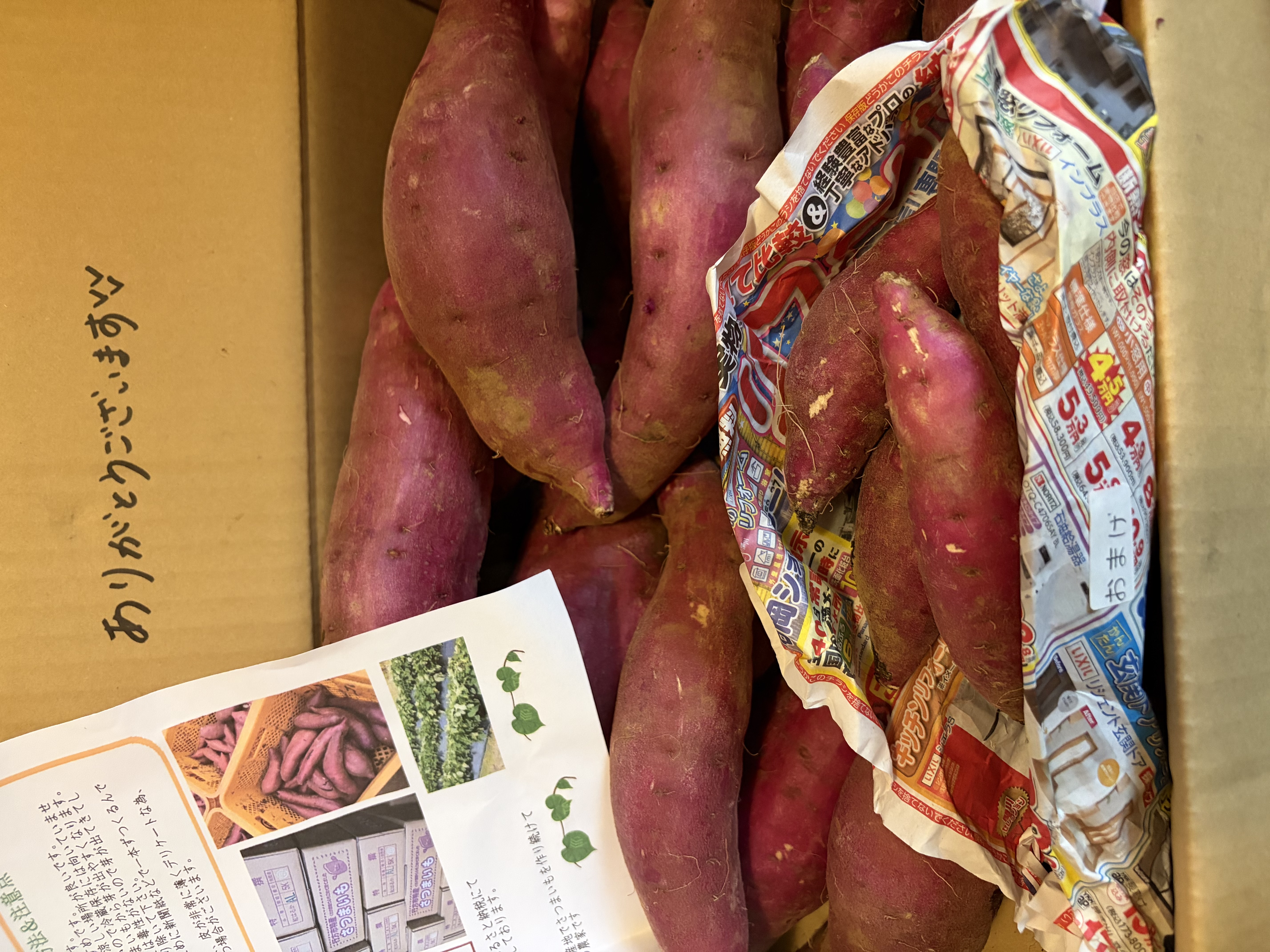 茨城県行方市特産 さつまいも(べにはるか) 『A品』Mサイズ ｜ 野菜