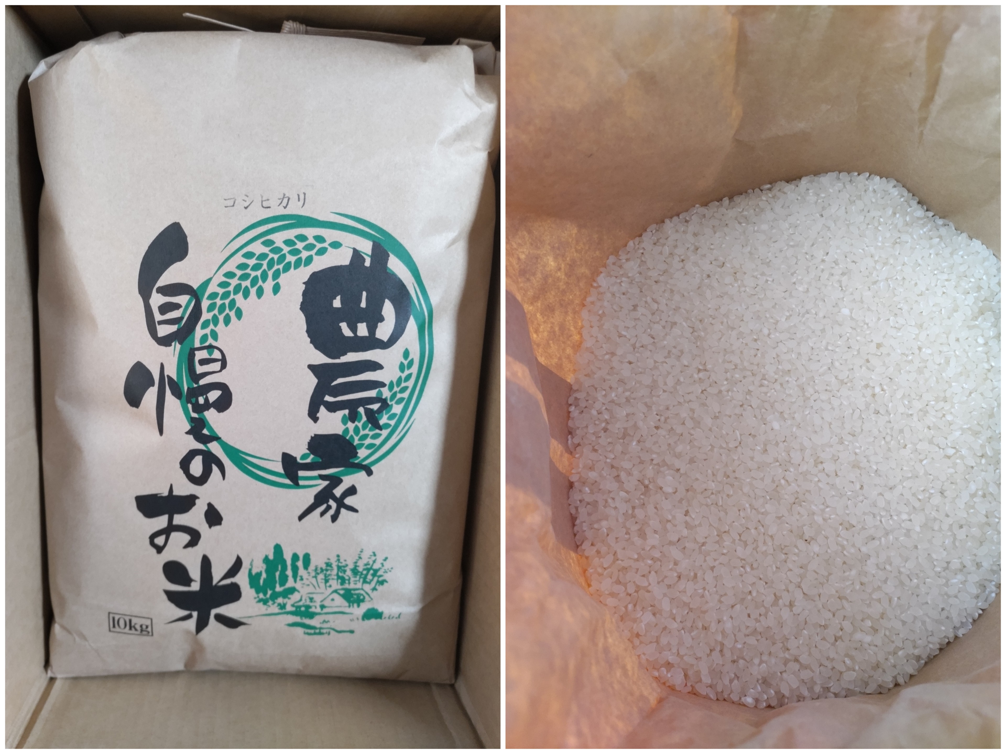 令和8年産 新米 会津米 コシヒカリ 10キロ （玄米） ｜ 米・穀物/玄米