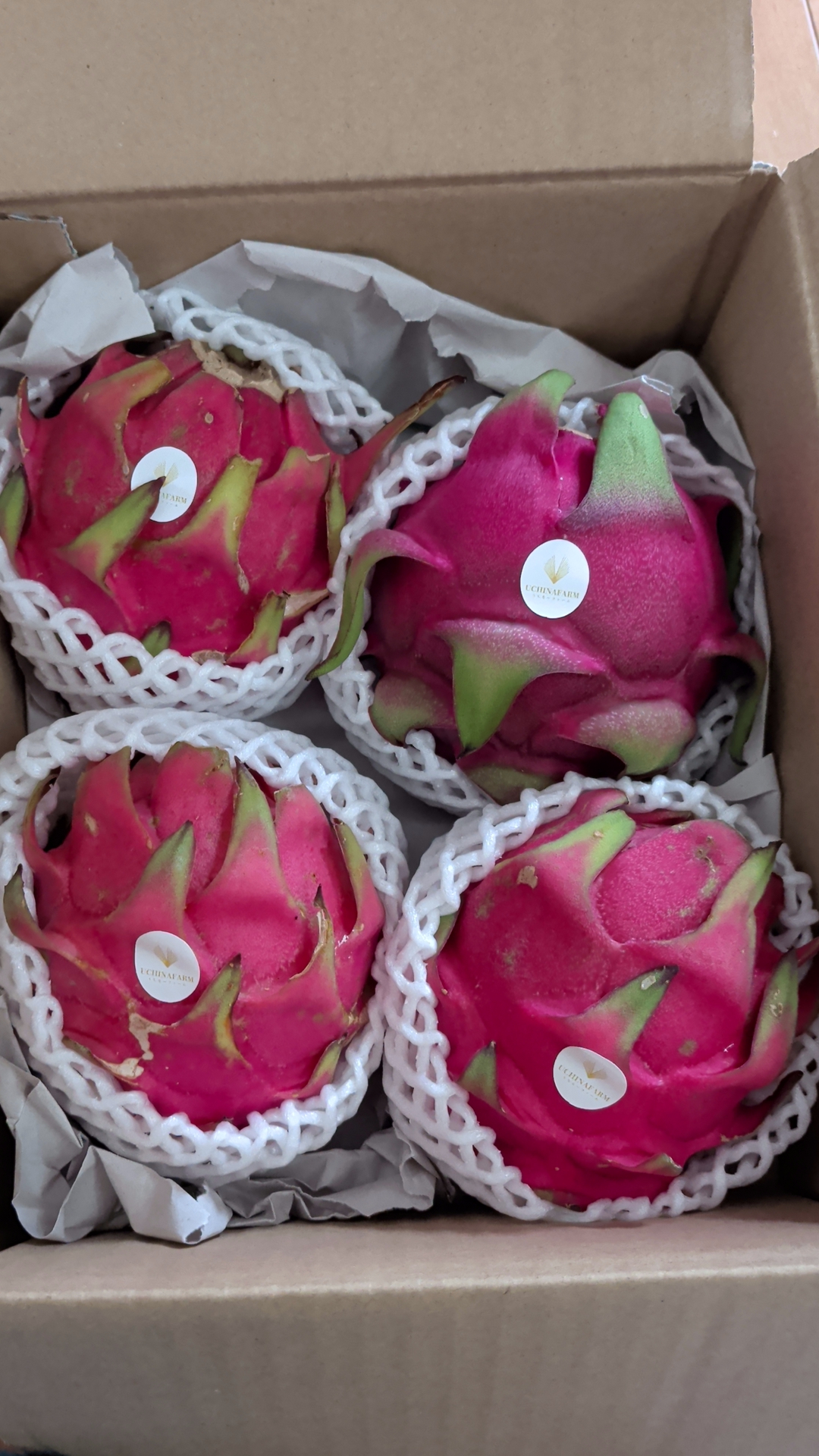 【訳あり】沖縄県産 マンゴー 約2.0kg（箱込み） 5玉（農家直送・クール便） 贈答用>沖縄マンゴー 2Kg(5玉前後)～化粧箱入り※クール便発送 ｜ 果物
