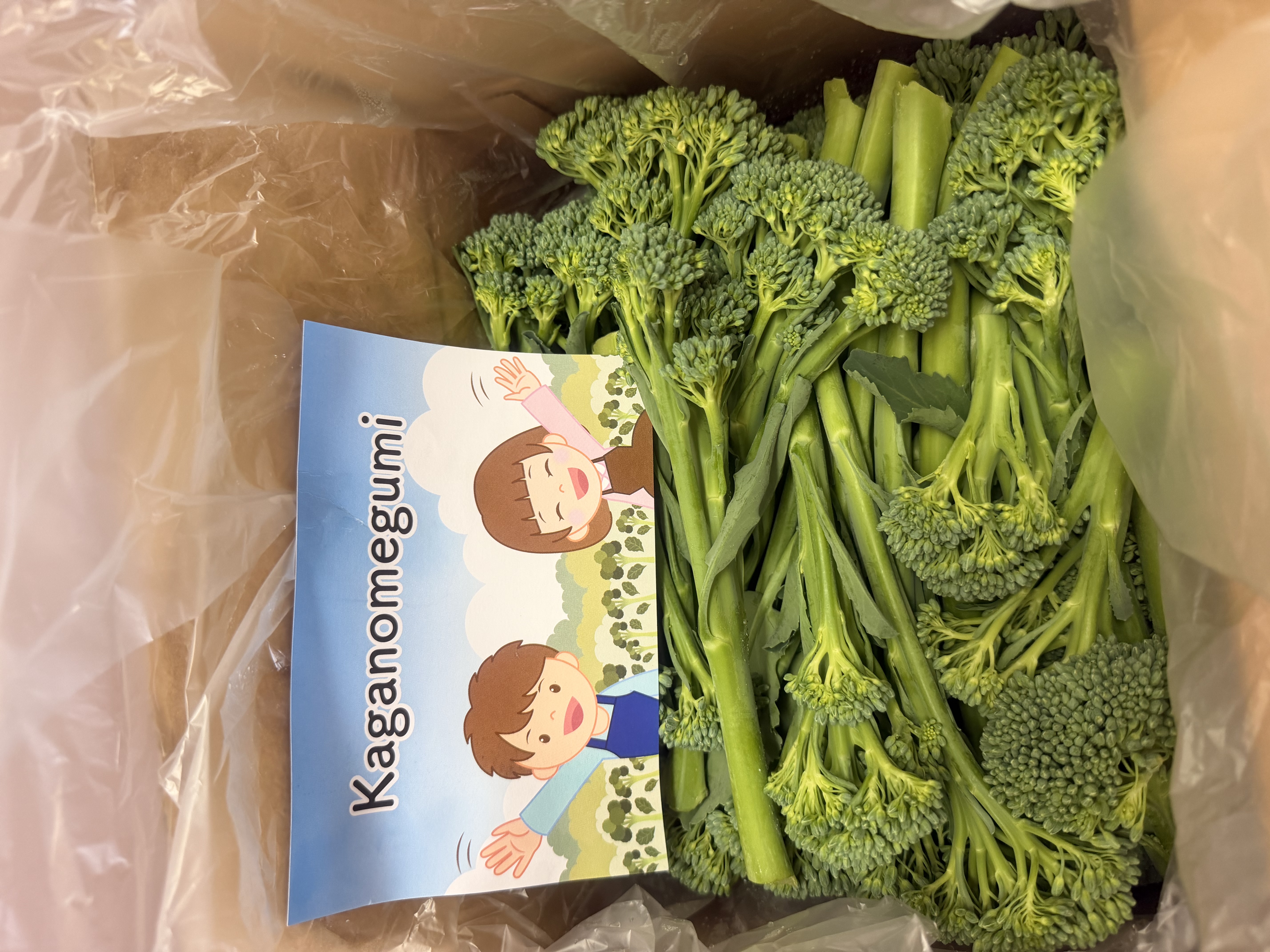 梨!幸水!5kg!訳ありご自宅用梨！ ｜ 果物/梨 産直アウル 農家・漁師