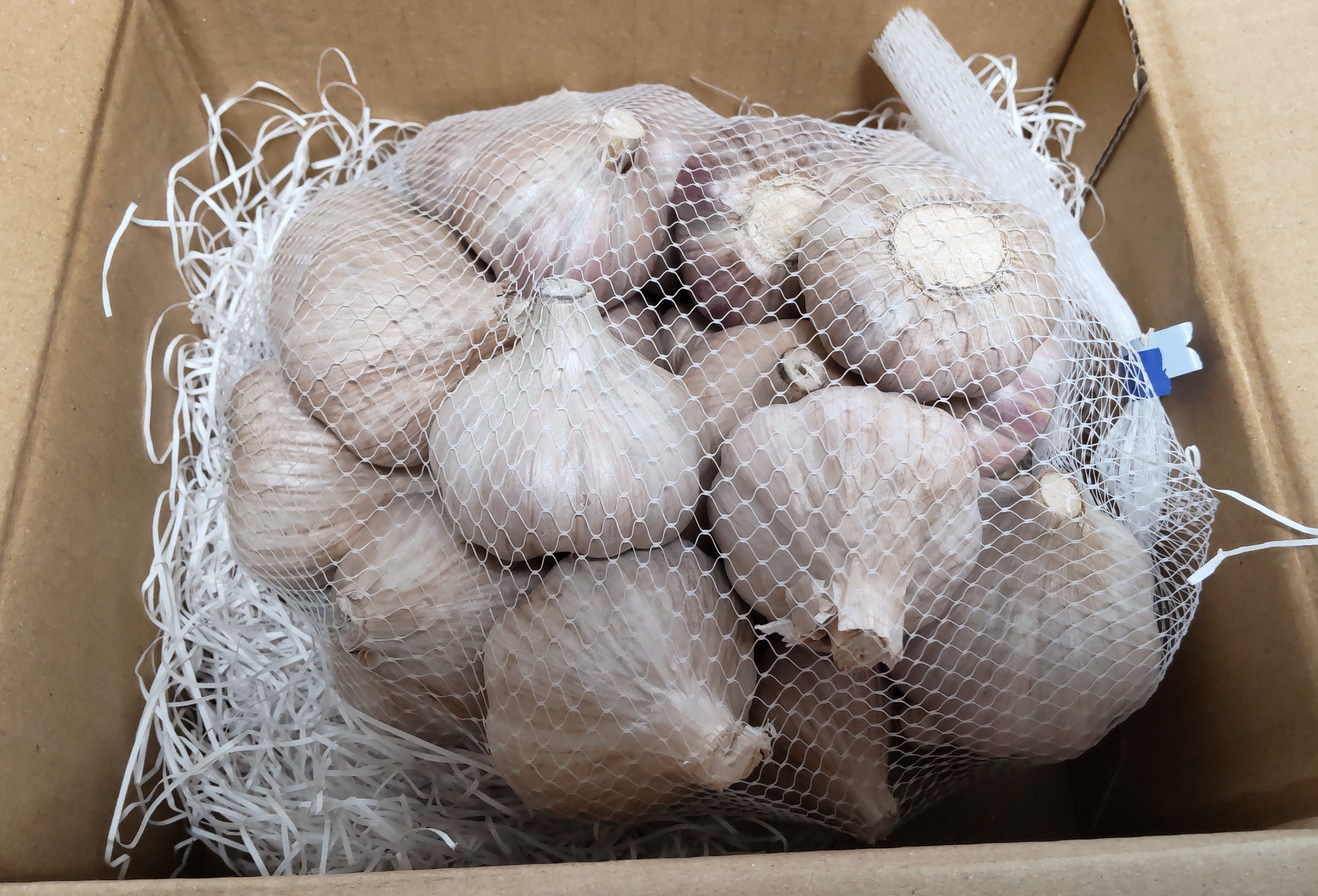 訳あり）無農薬高知県在来種土佐にんにく乾燥 約1キロ | 野菜/にんにく