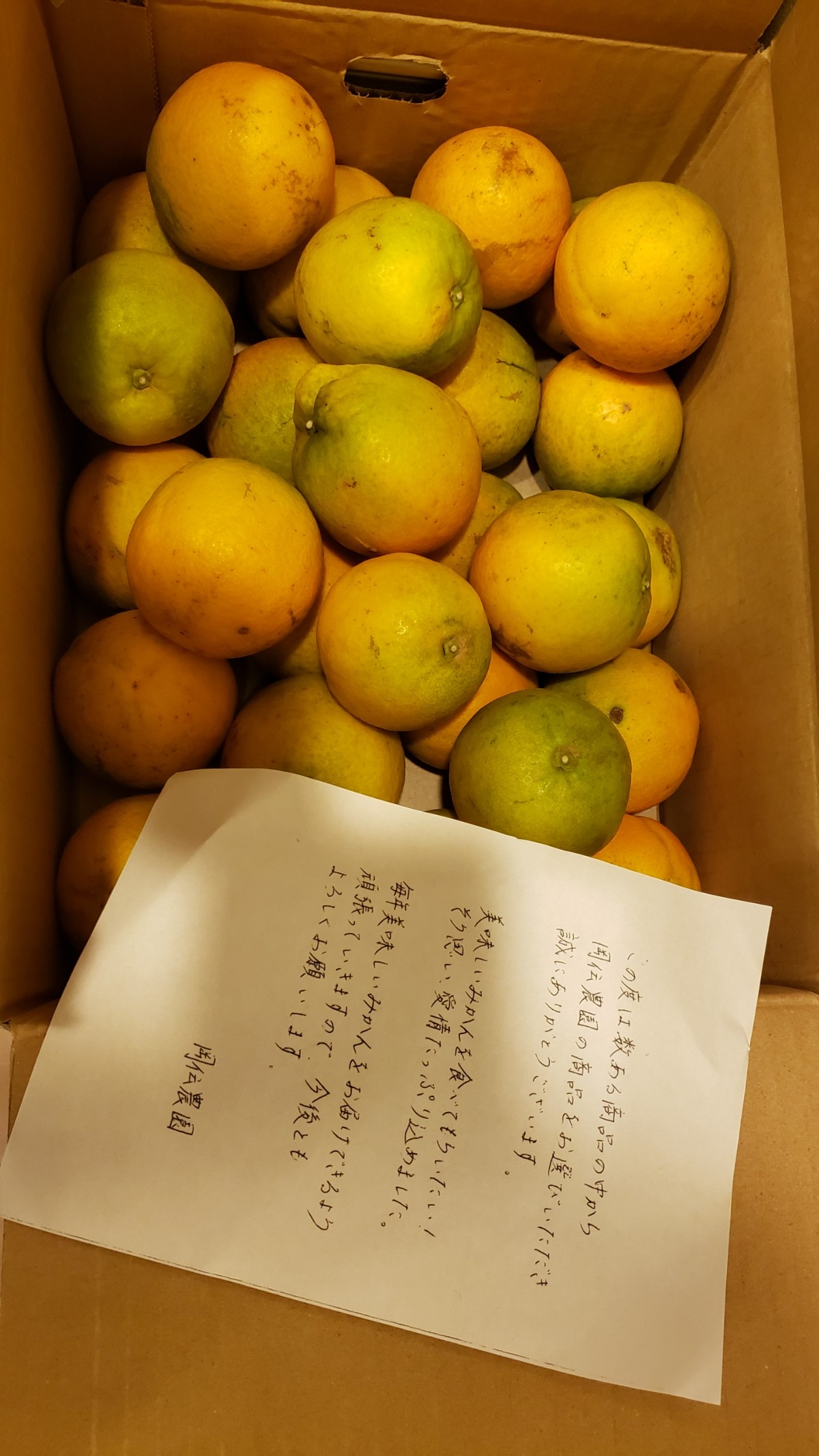 和歌山県有田産 バレンシアオレンジ ご家庭用 10kg ｜ 果物/オレンジ