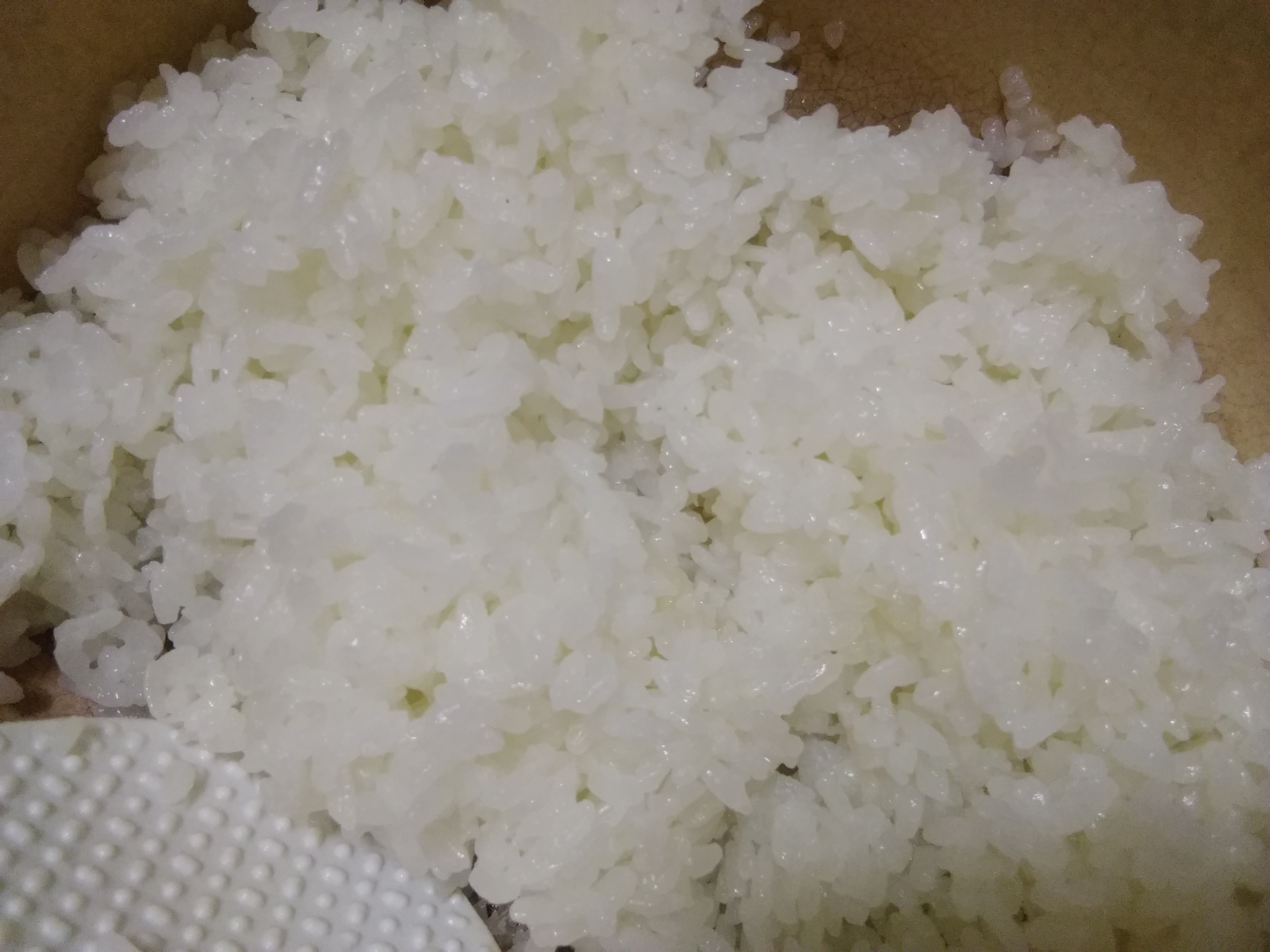 令和6年産 京都丹波コシヒカリ5kg ｜ 米・穀物/米/精米 産直アウル