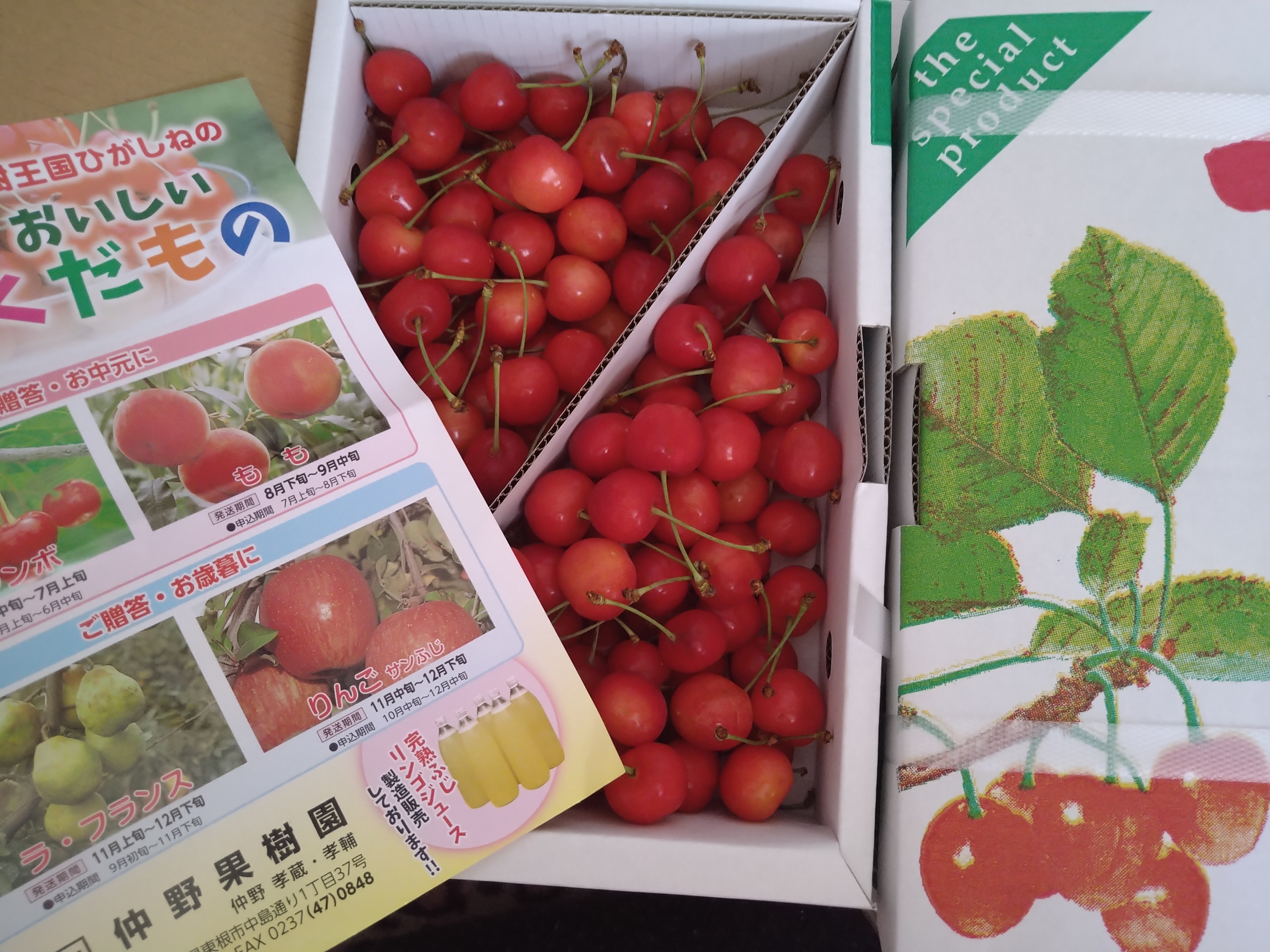 予約] 規格外さくらんぼ 佐藤錦 1kg×4 (色づき/サイズ混合) ｜ 果物