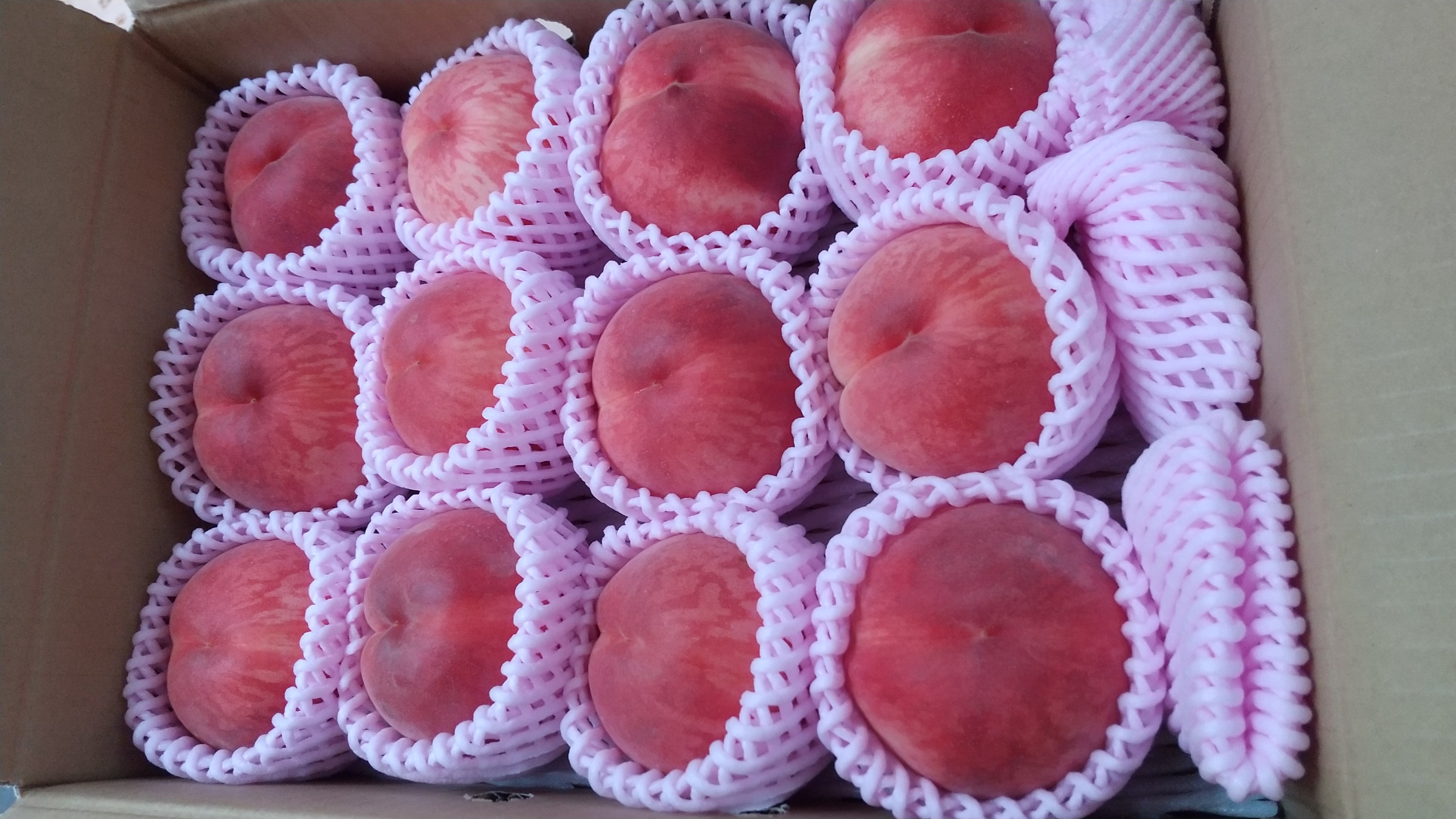 樹上完熟桃（品種おまかせ）3kg【数量限定】朝どり直送便 ｜ 果物/も 