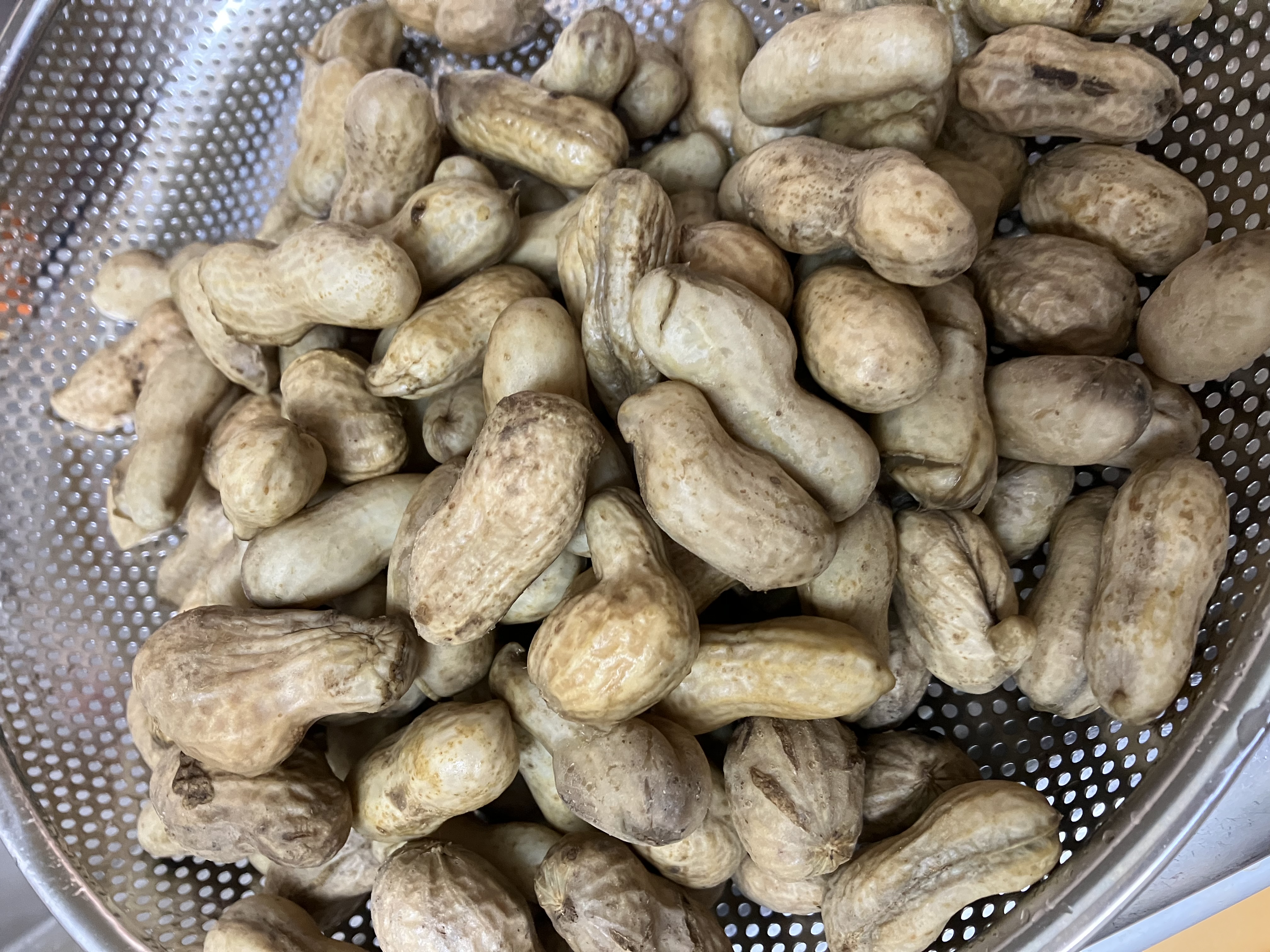 seikoファームのご紹介 | 熊本市 | 産直アウル 農家から直接野菜