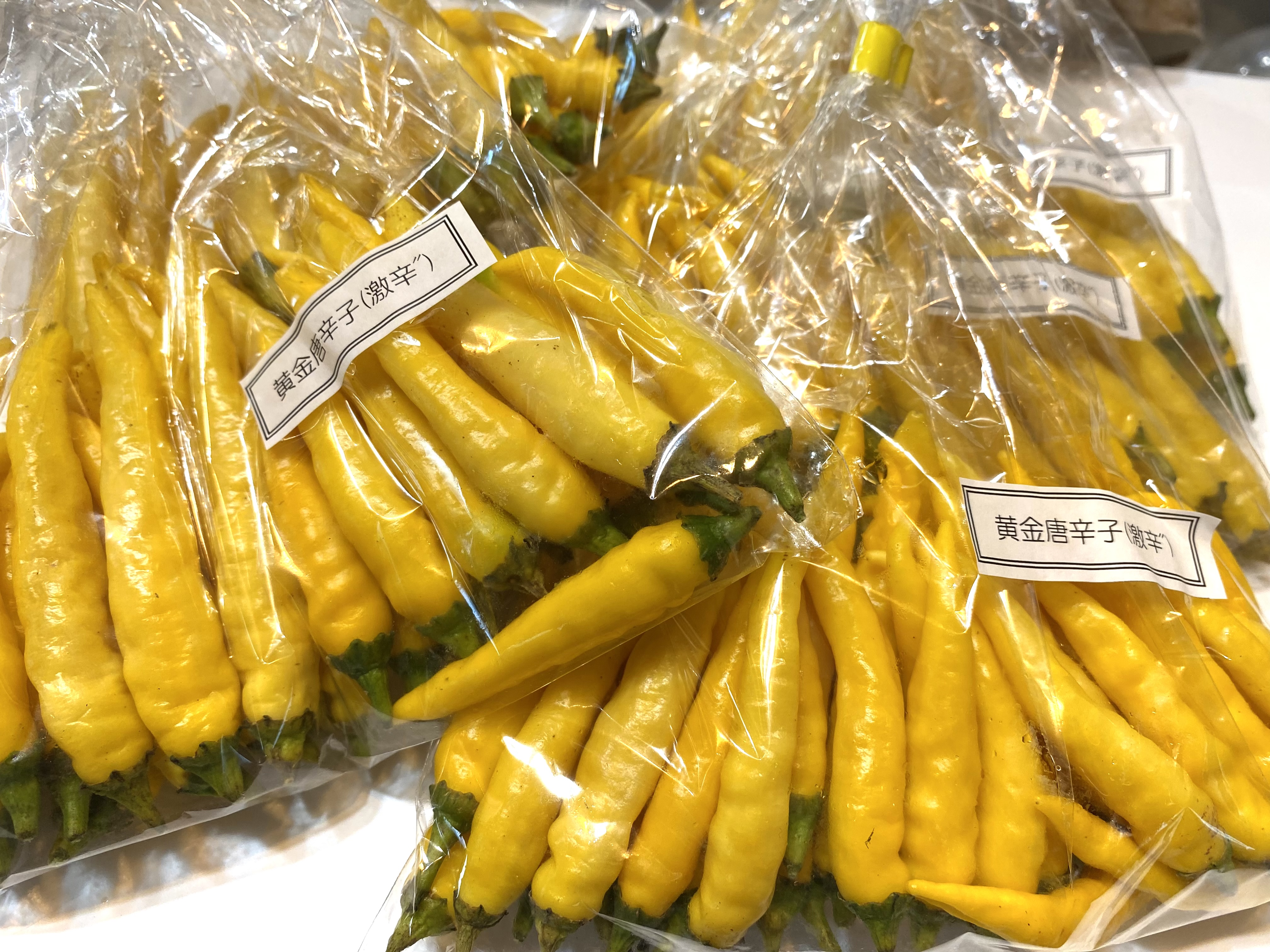 黄金唐辛子｢乾燥｣200g お試し | 野菜/スパイス 産直アウル 農家から