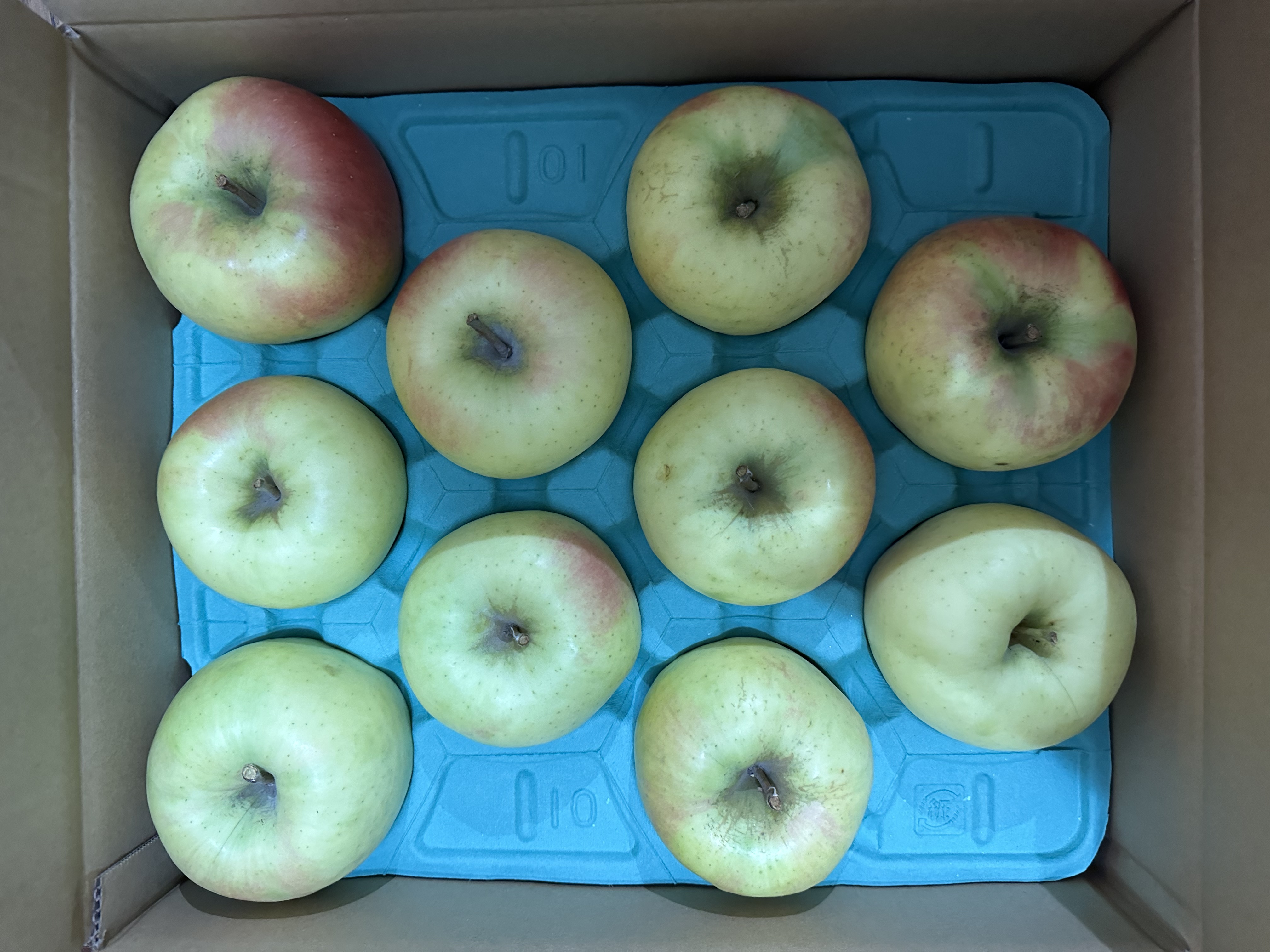 4Lサイズ特大 蜜入り黄色リンゴ ぐんま名月 ご家庭用約5キロ ｜ 果物