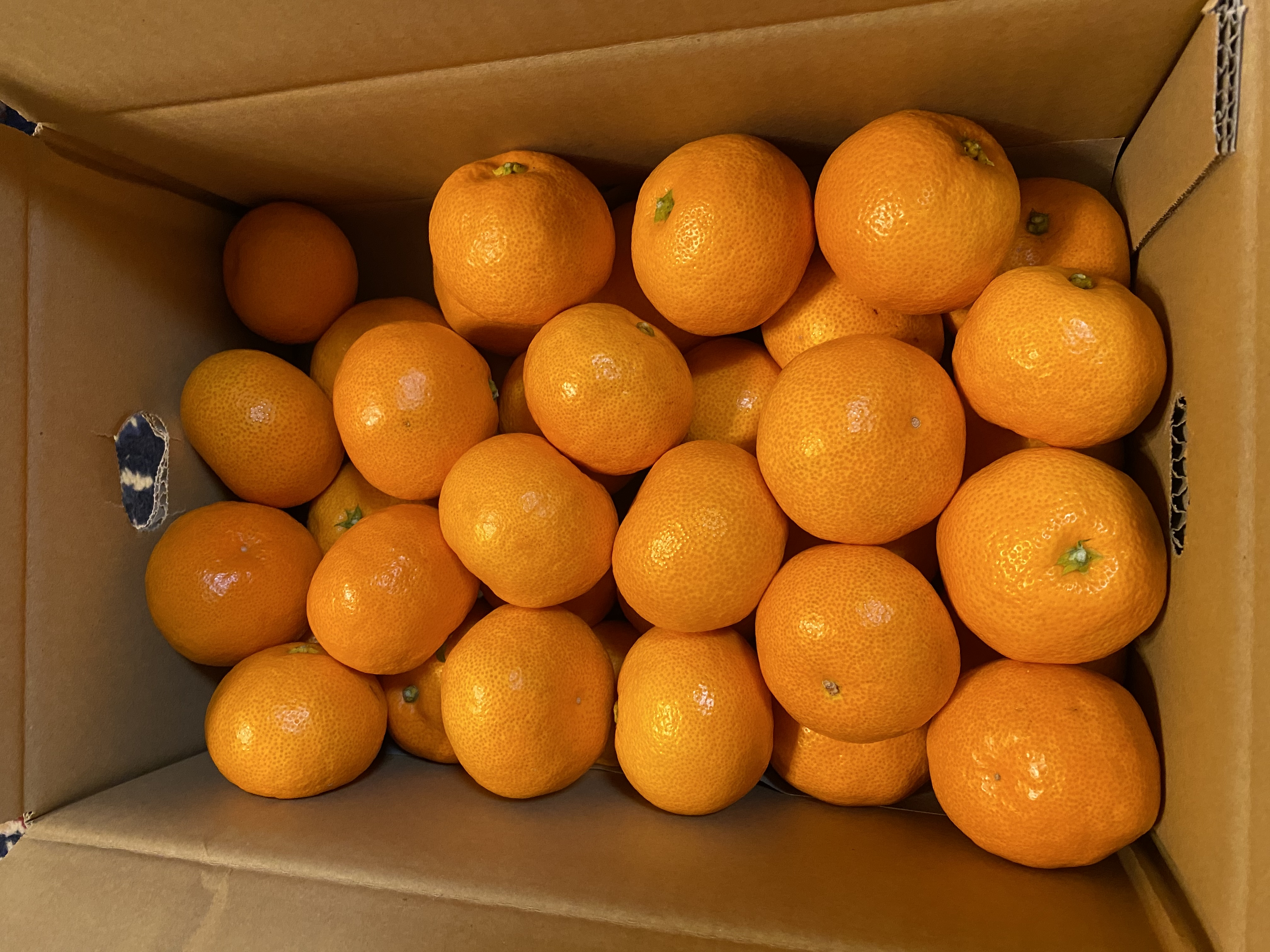 小玉 有田みかん 3S〜2Sｻｲｽﾞ(キズあり)箱込み3kg | 果物/温州みかん