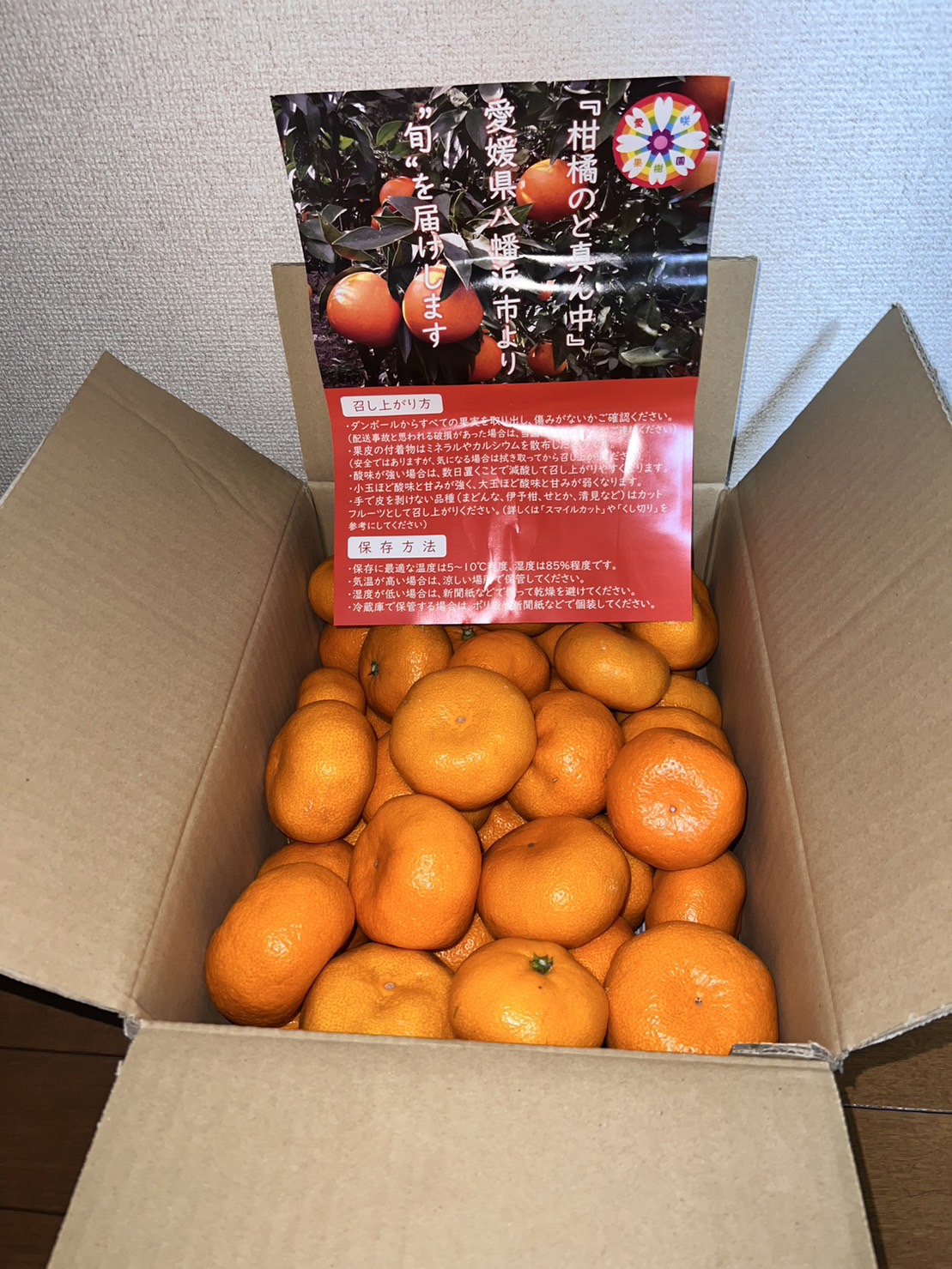 家庭用】青島みかん 5.5kg(混合サイズ) ずっしりコクあり♡貯蔵みかん 