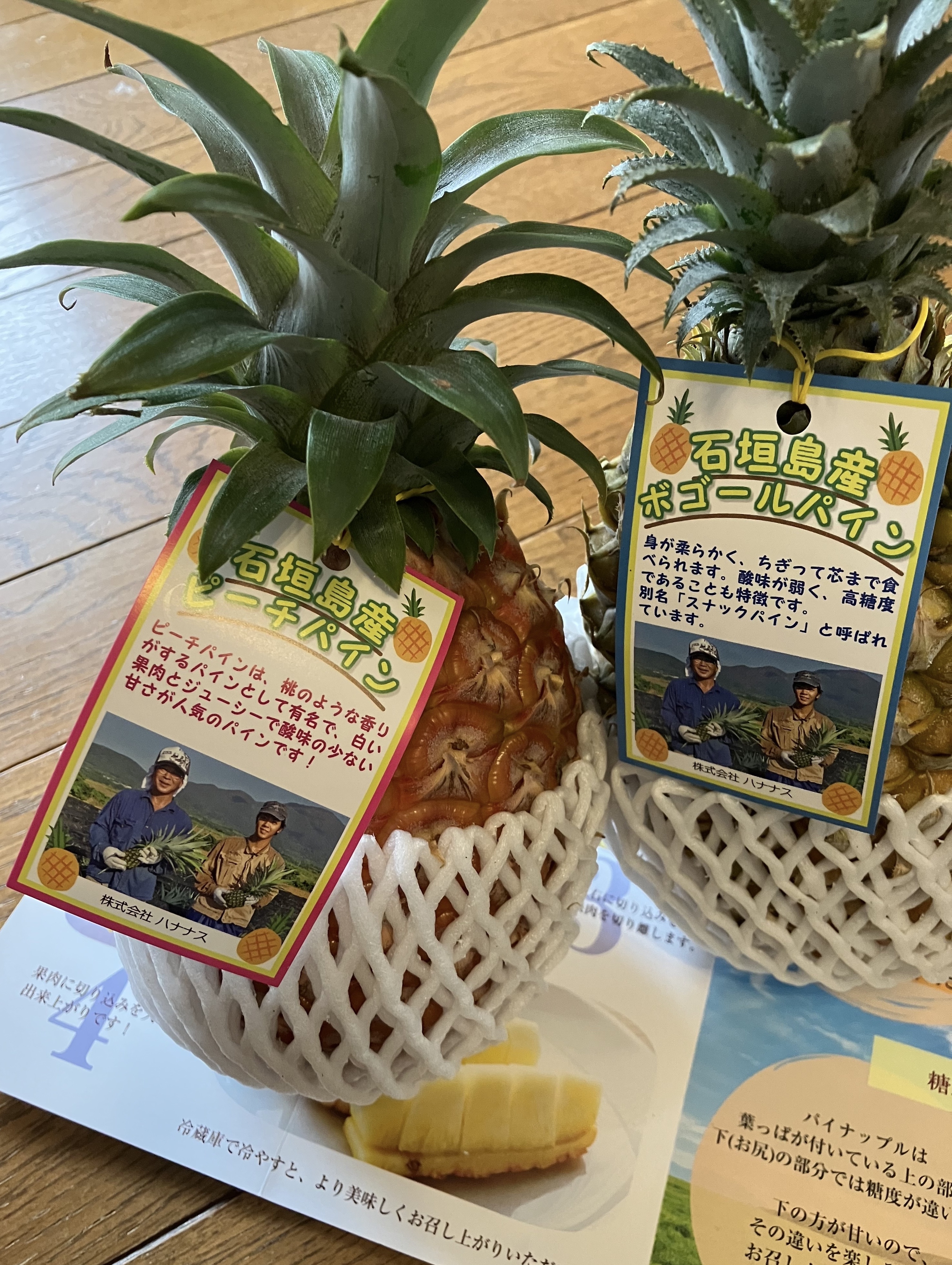 予約特価❗4月下旬～発送】《ハナナスパイナップル》ピーチパインと