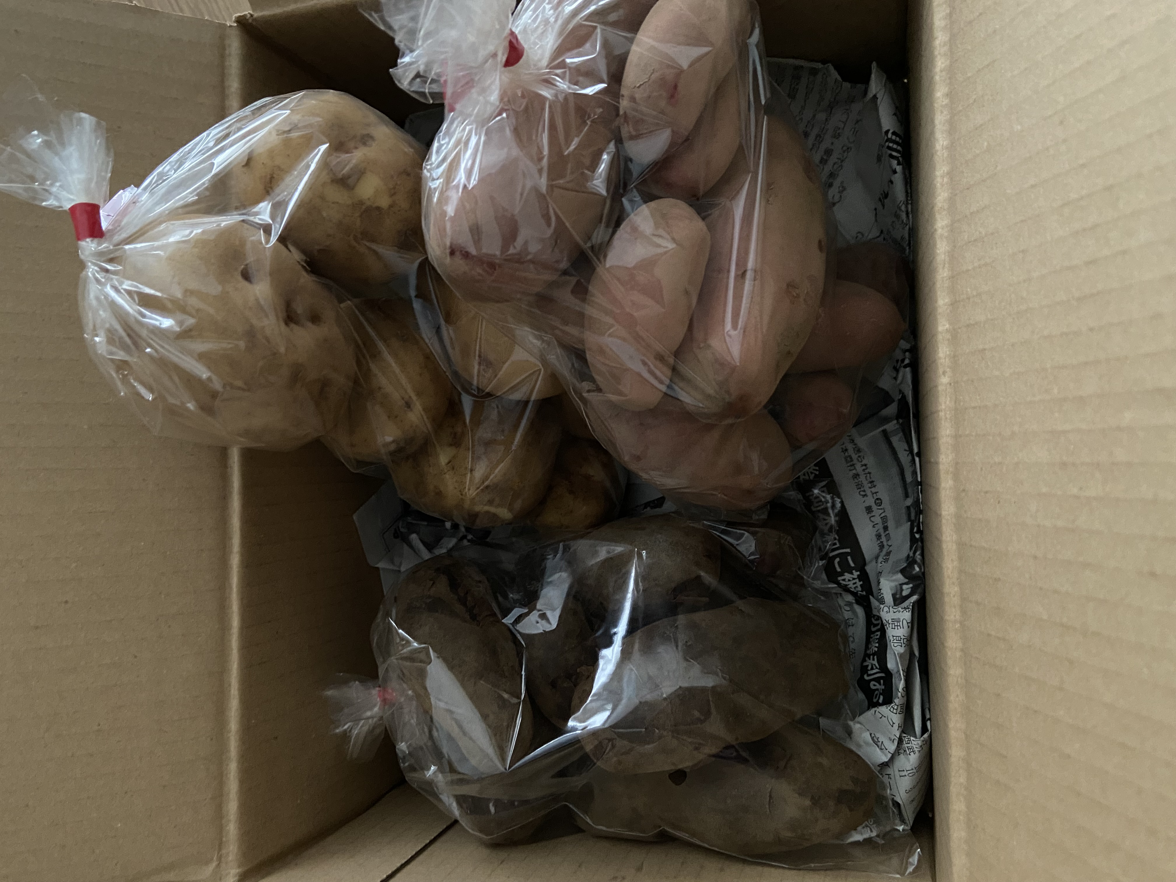 飲食店様向け】訳ありふわとろ長なす3kg ｜ 野菜/茄子 産直アウル 農家
