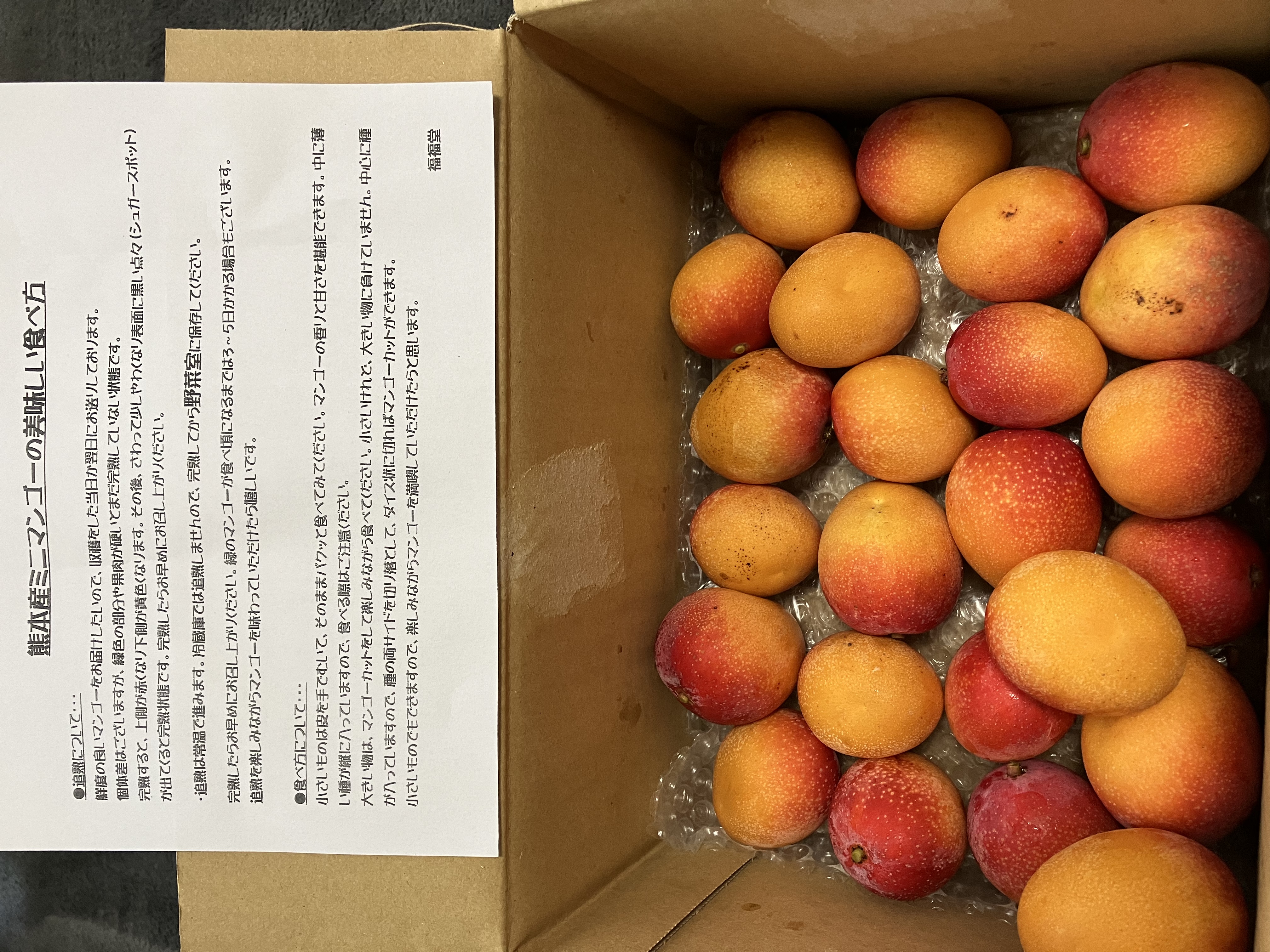 ミニアップルマンゴー 約1キロ | 果物/マンゴー 産直アウル 農家から  