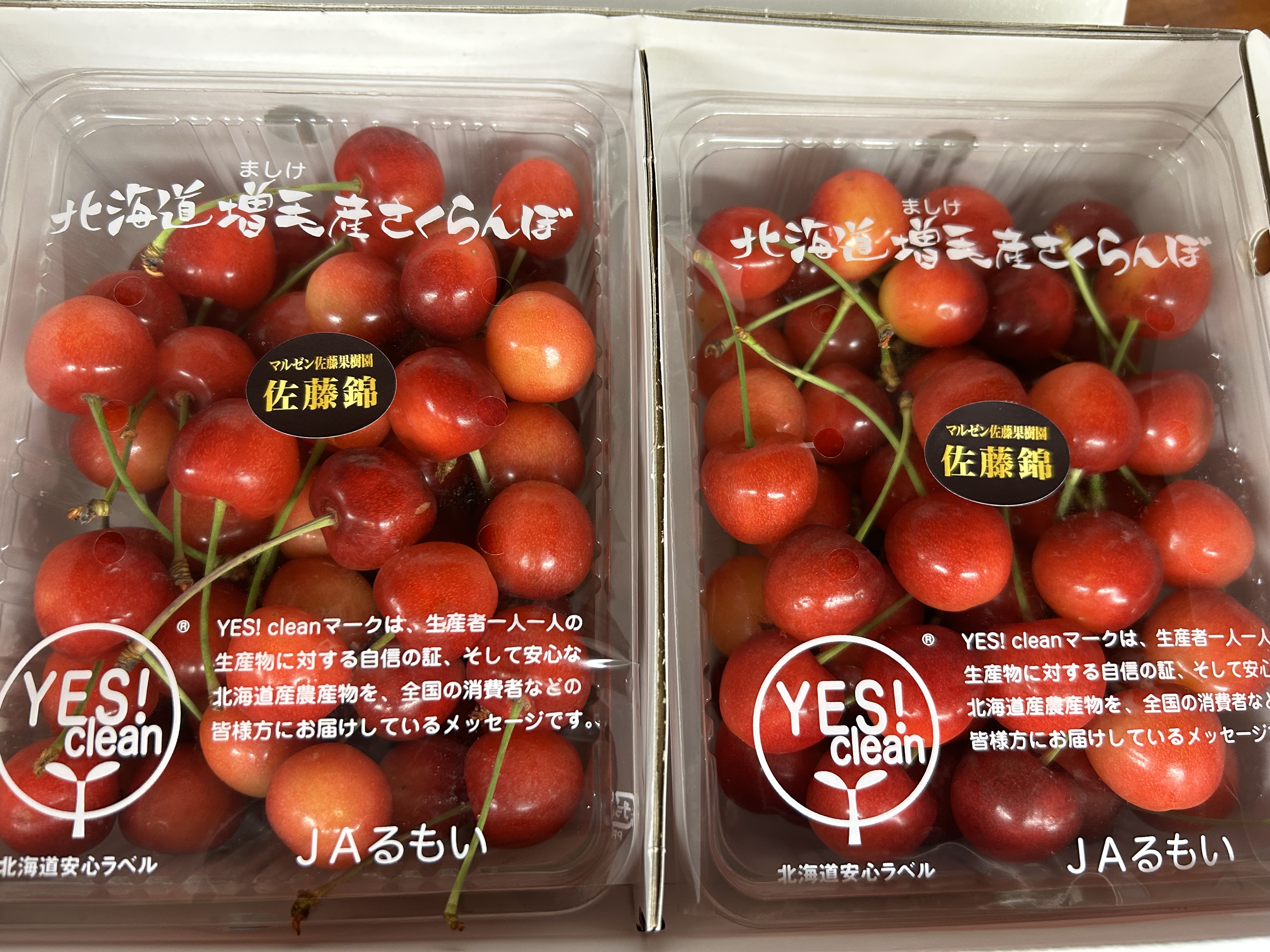 さくらんぼ「佐藤錦」たっぷり1kg Lサイズ | 果物/さくらんぼ 産直  