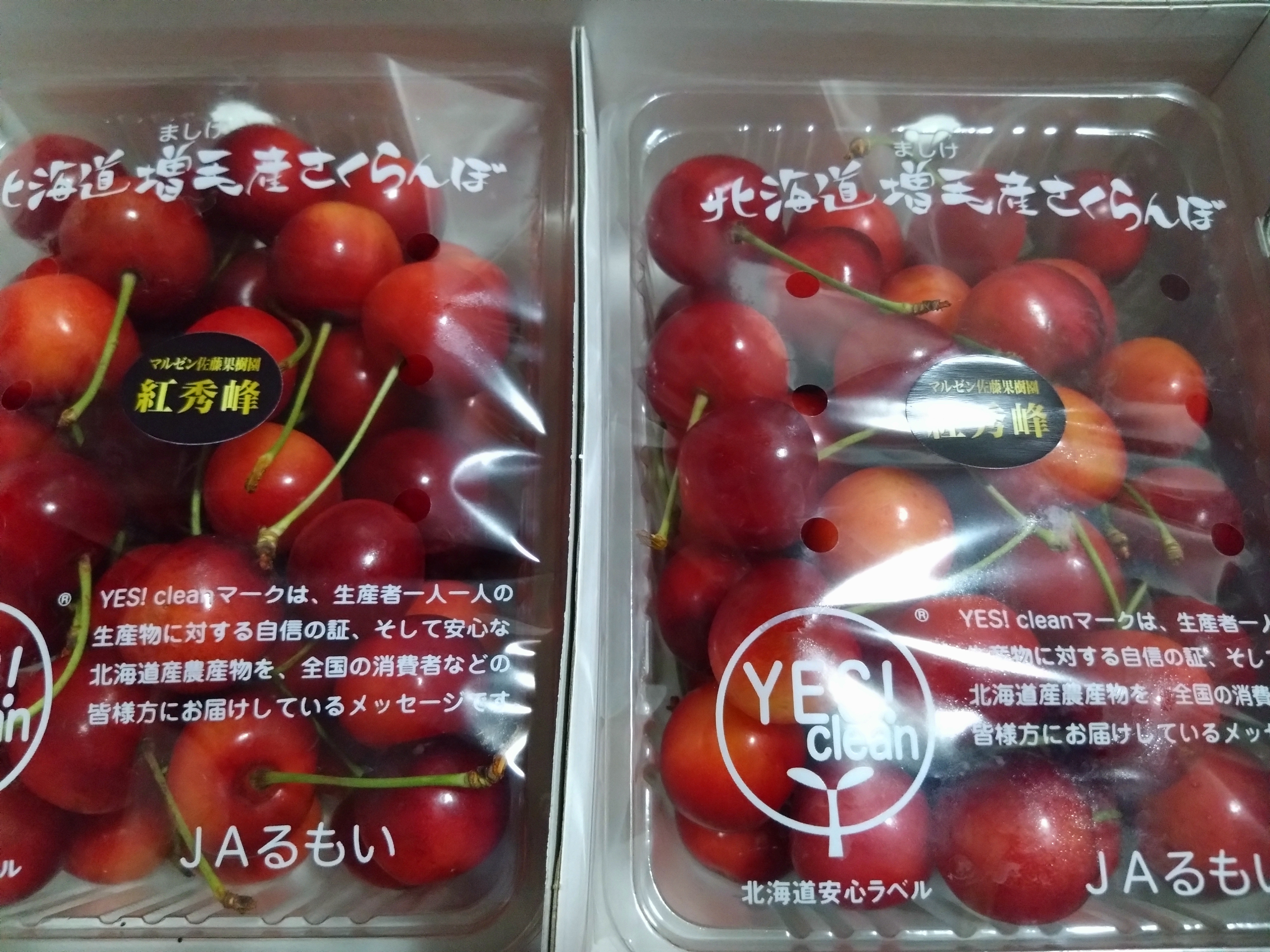 まる　紅秀峰 猫田さんが マルゼン佐藤果樹園 の さくらんぼ「紅秀峰」たっぷり1kg