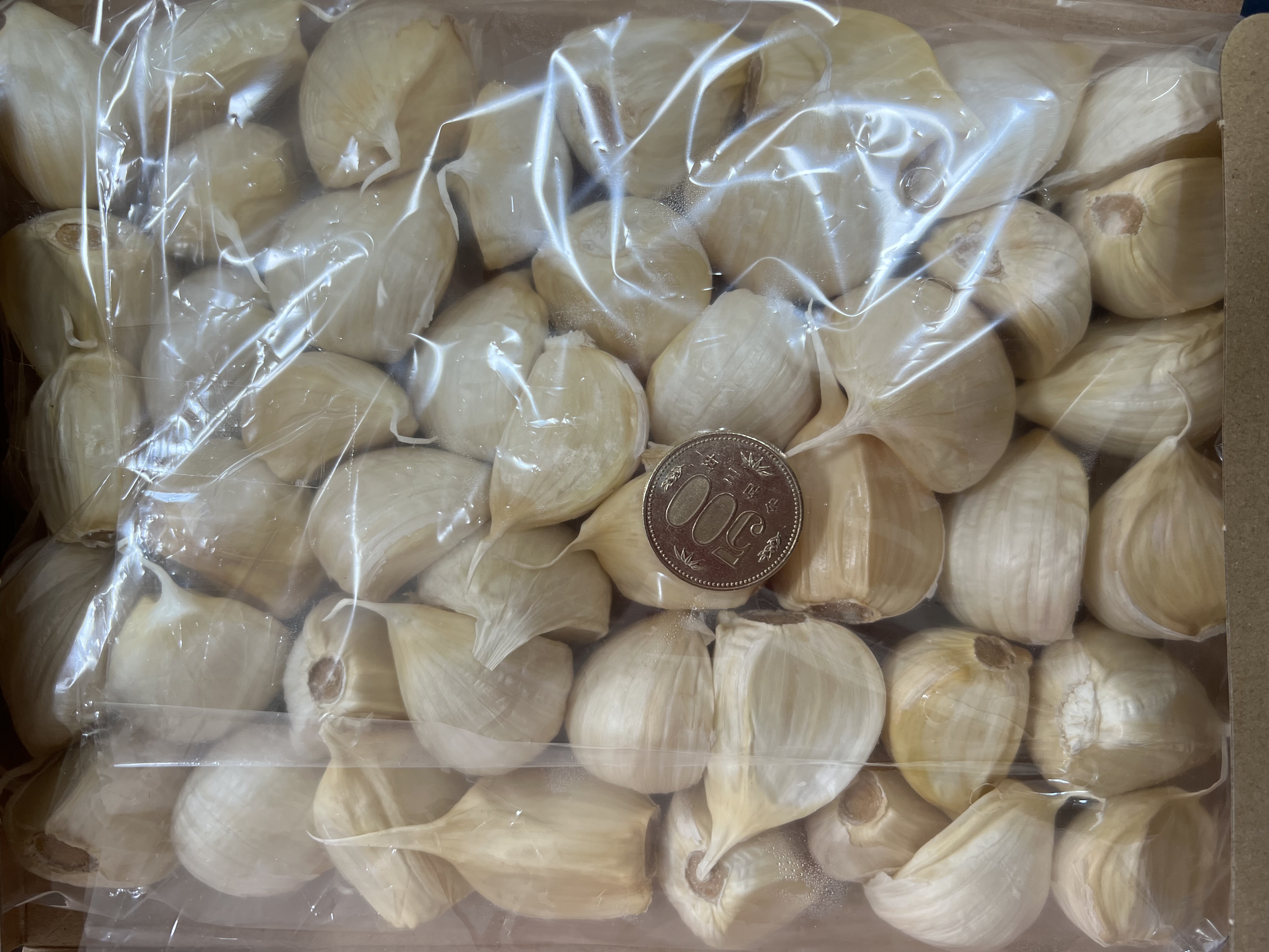 にんにく 【青森県産】福地ホワイト六片 500g 『飲食店向け』 ｜ 野菜
