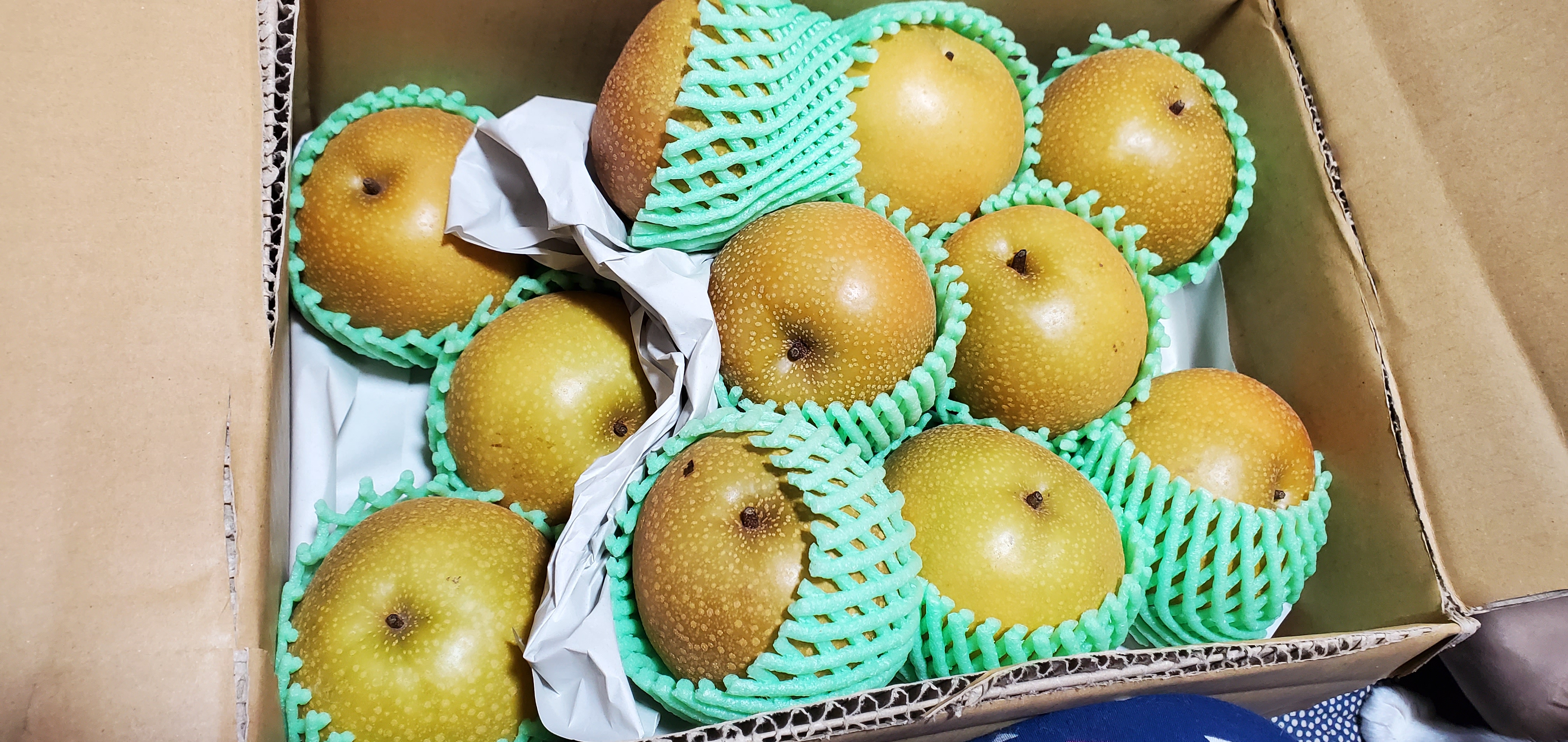 梨！豊水梨！訳あり梨！5kg（箱込み） ｜ 果物/梨 産直アウル 農家