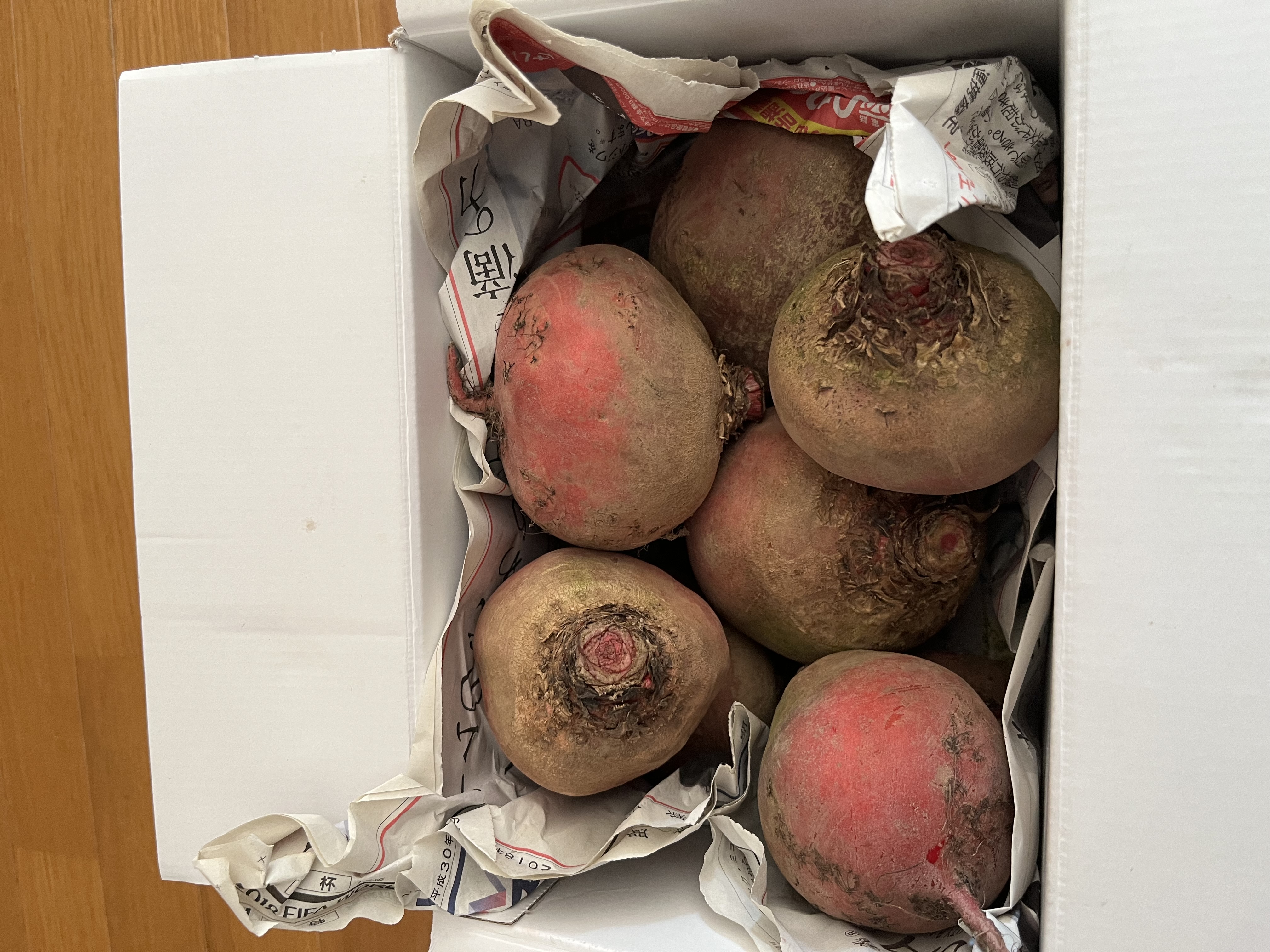 2024年北海道産 ビーツ ｜ 野菜/その他野菜 産直アウル 農家・漁師など 