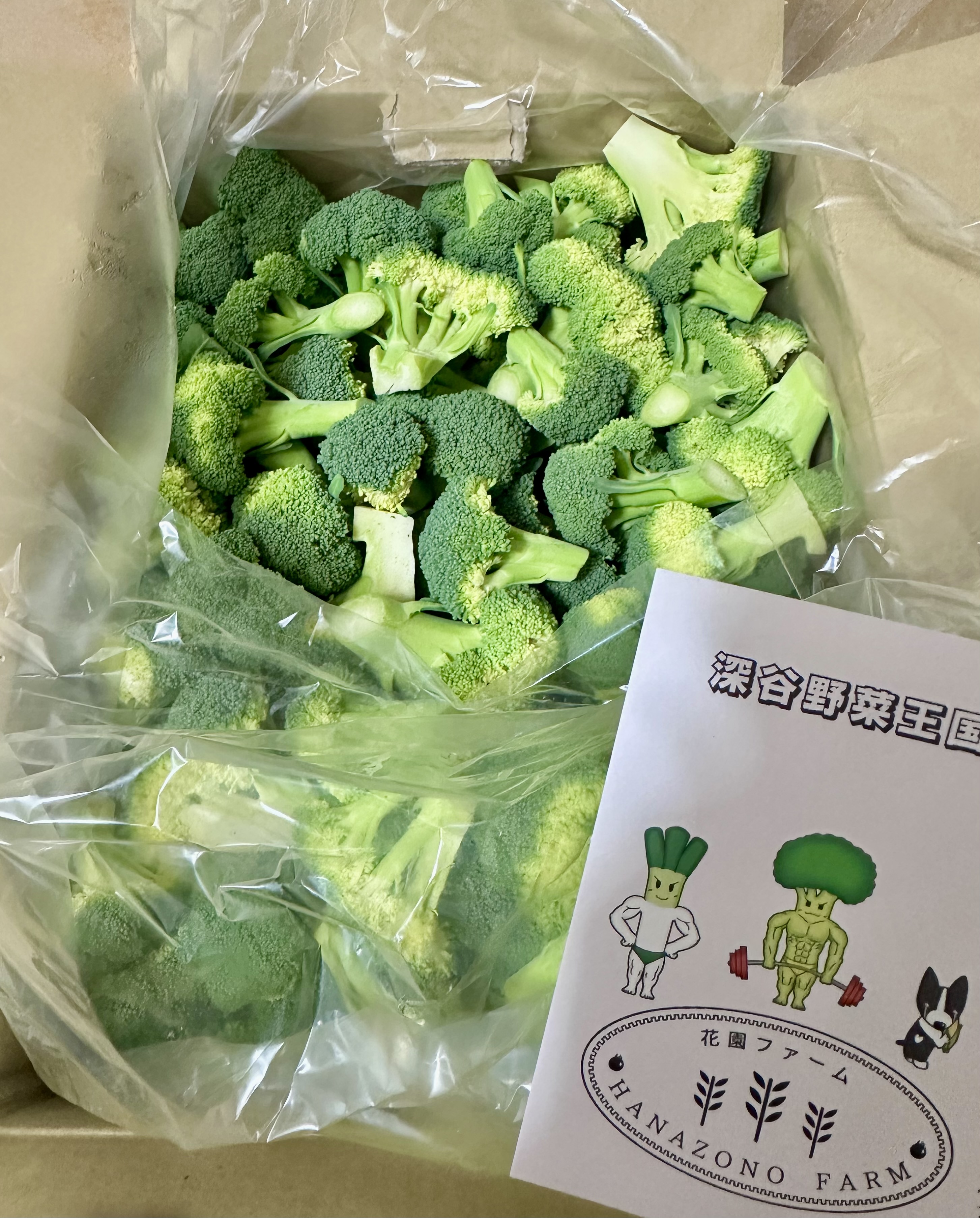 後は、洗って茹でるだけ！美味しいカットブロッコリー3.5kg ｜ 野菜