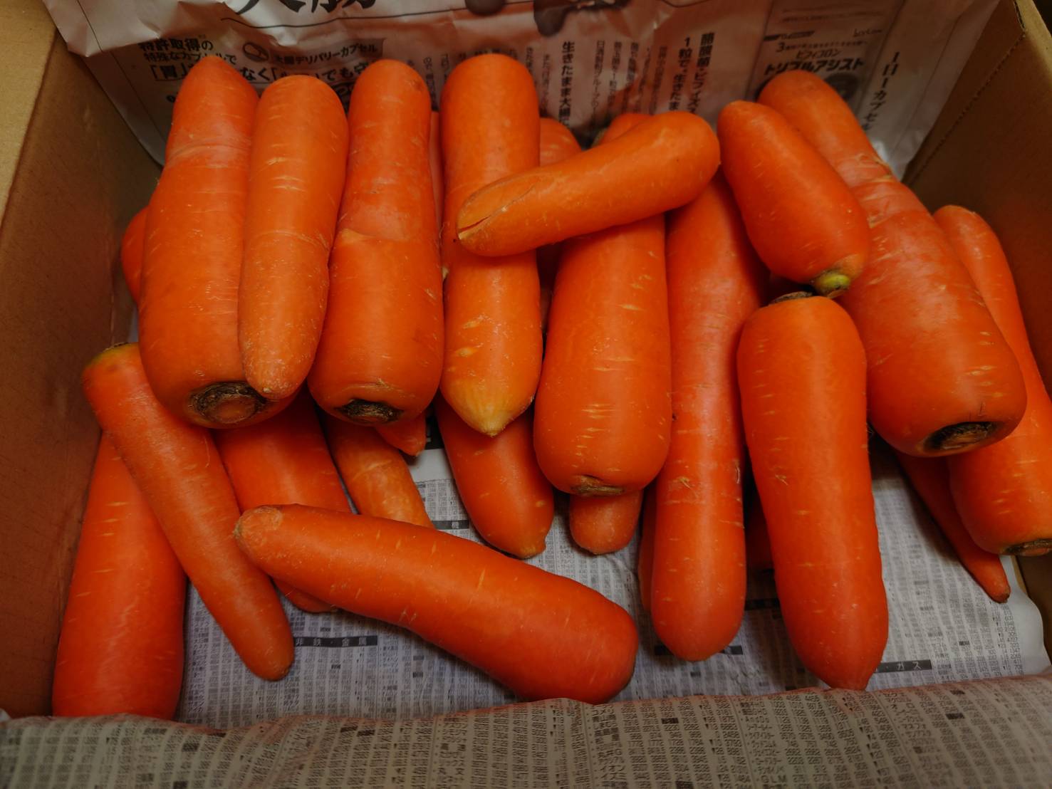 訳あり含む】無農薬で育った 洗いにんじん 大きさ色々 4.5kg 