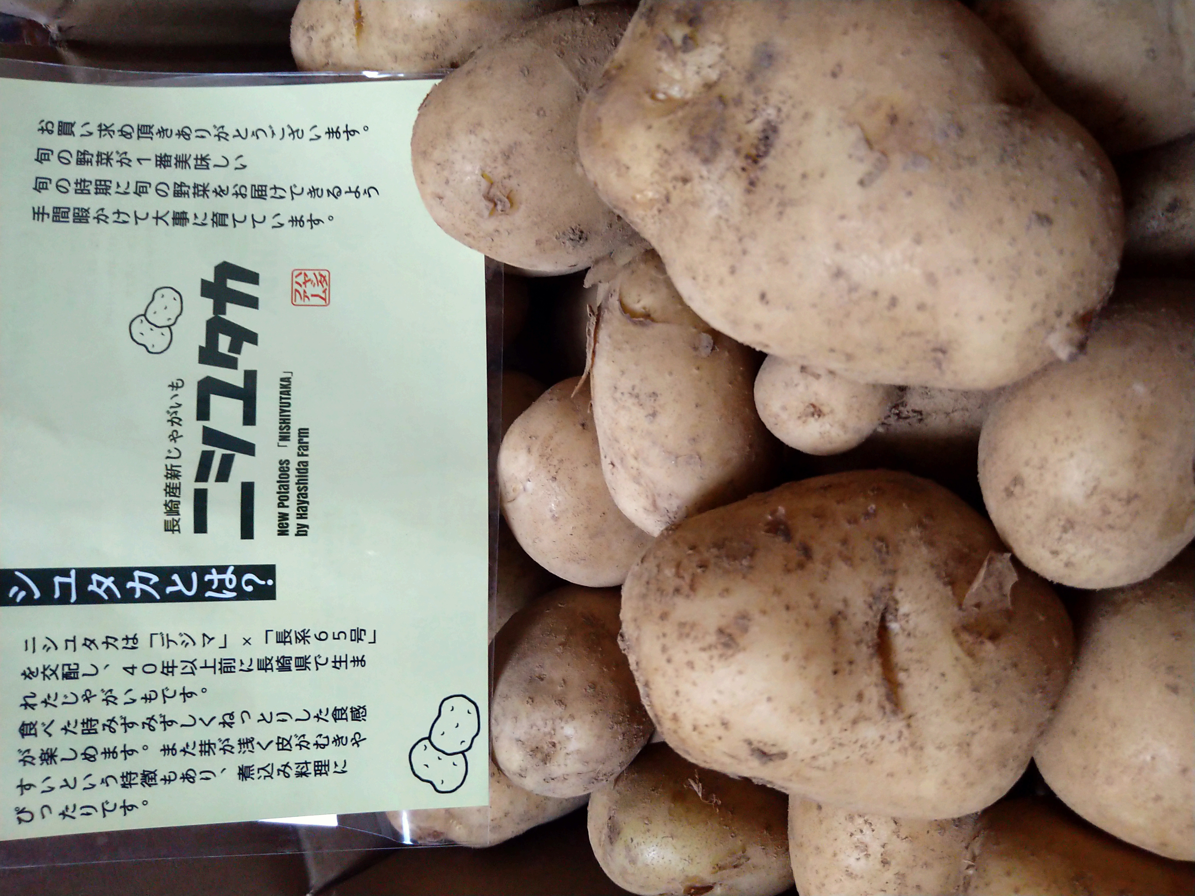 にしゆたか 長崎県産 20キロ M～LLサイズ 【公式通販】