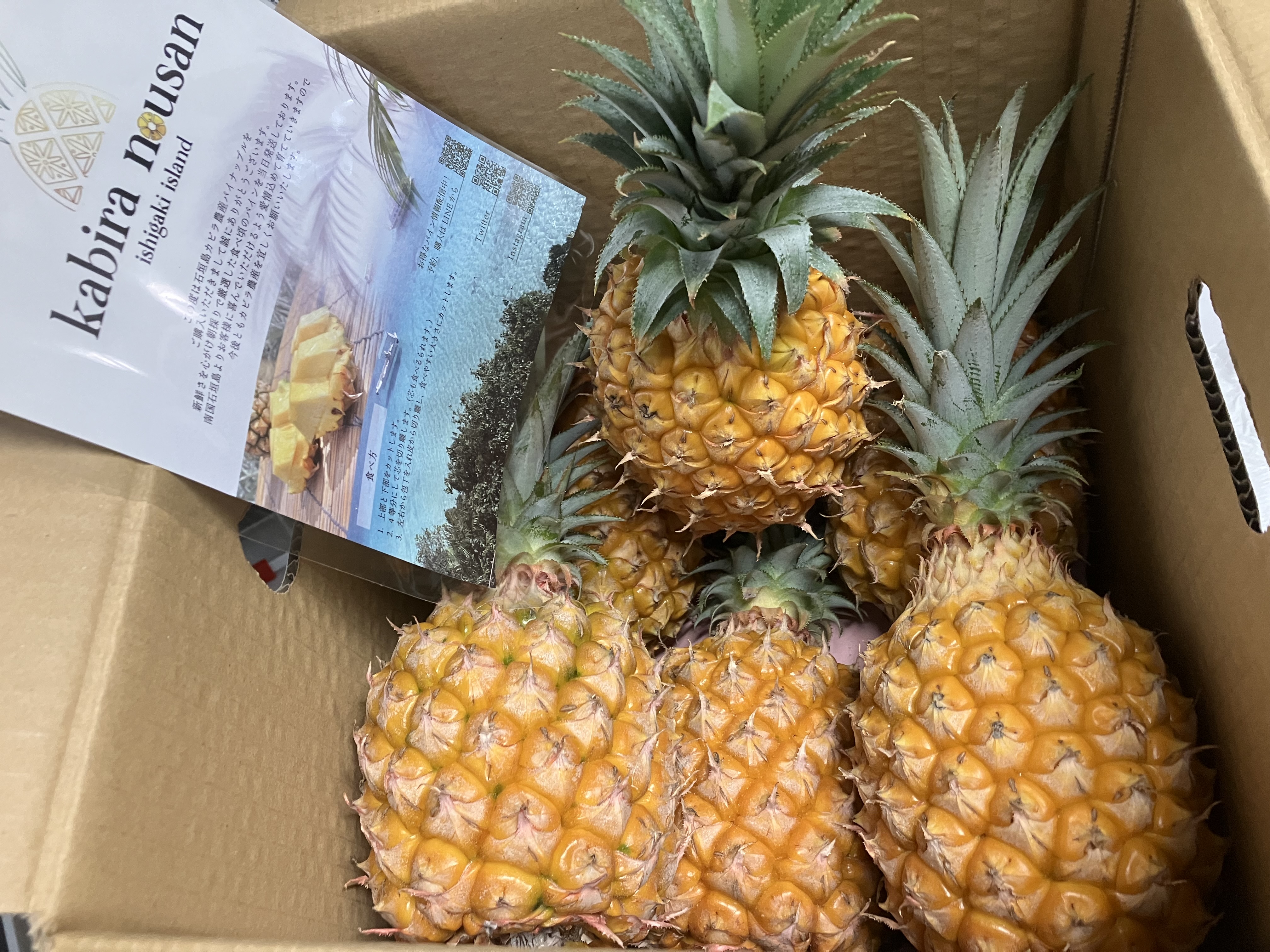 糖度20度越え！】ちぎって食べれる！【石垣島産】スナックパイン 1玉  