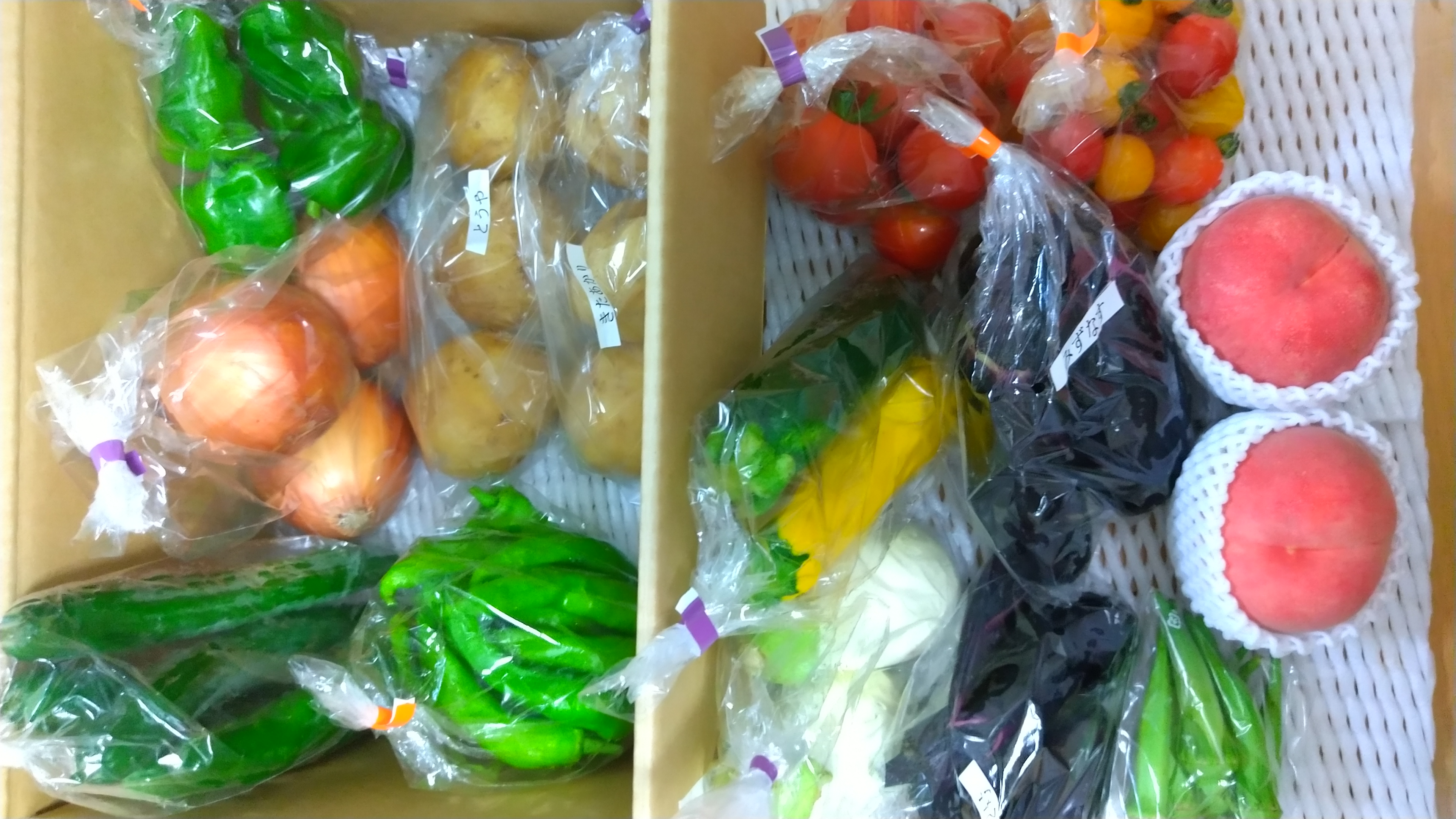真っ赤な宝石のような桃【赤宝】3kg ｜ 果物/もも 産直アウル 農家 